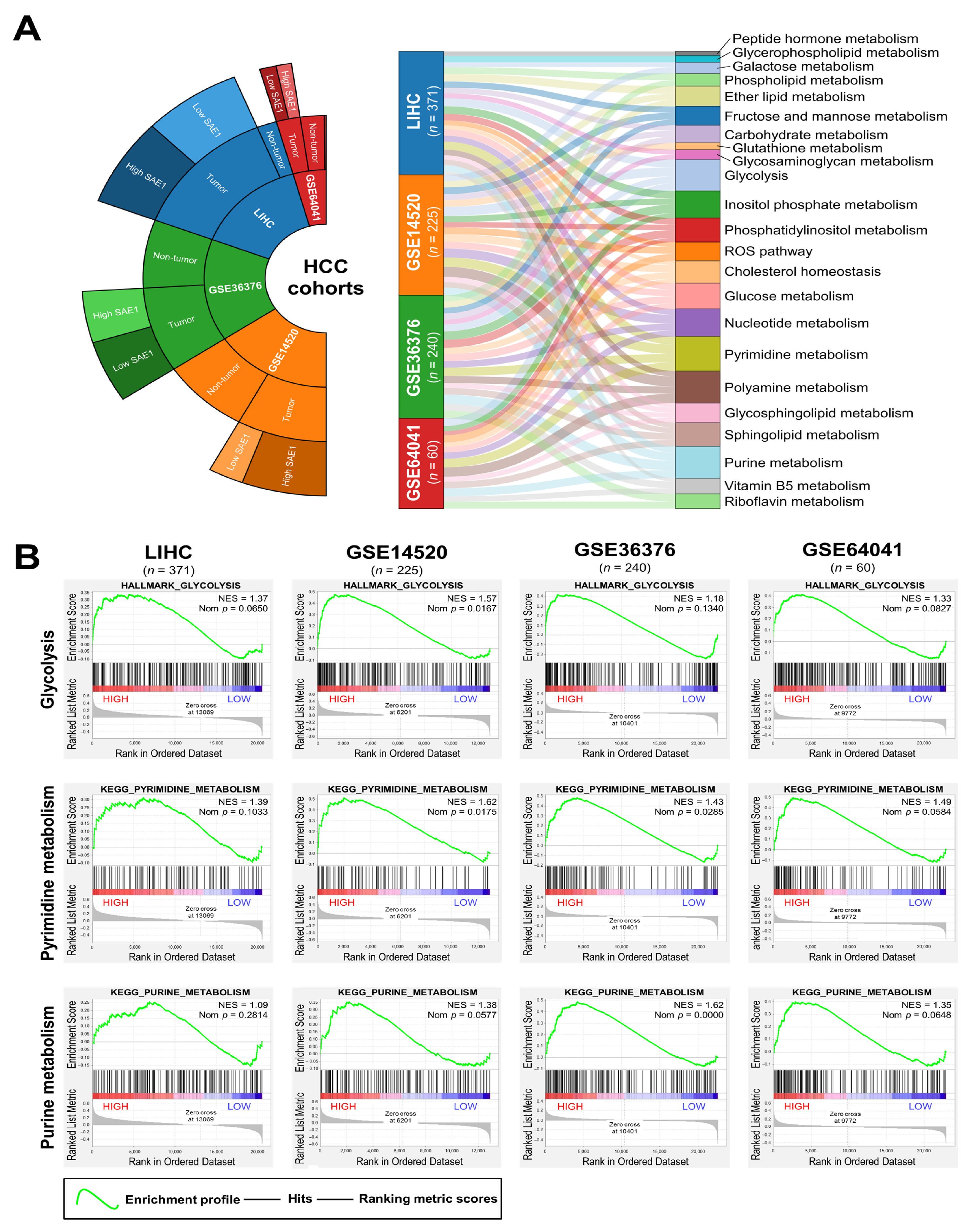 Cells 10 00178 g006 Cells 10 00178 g006