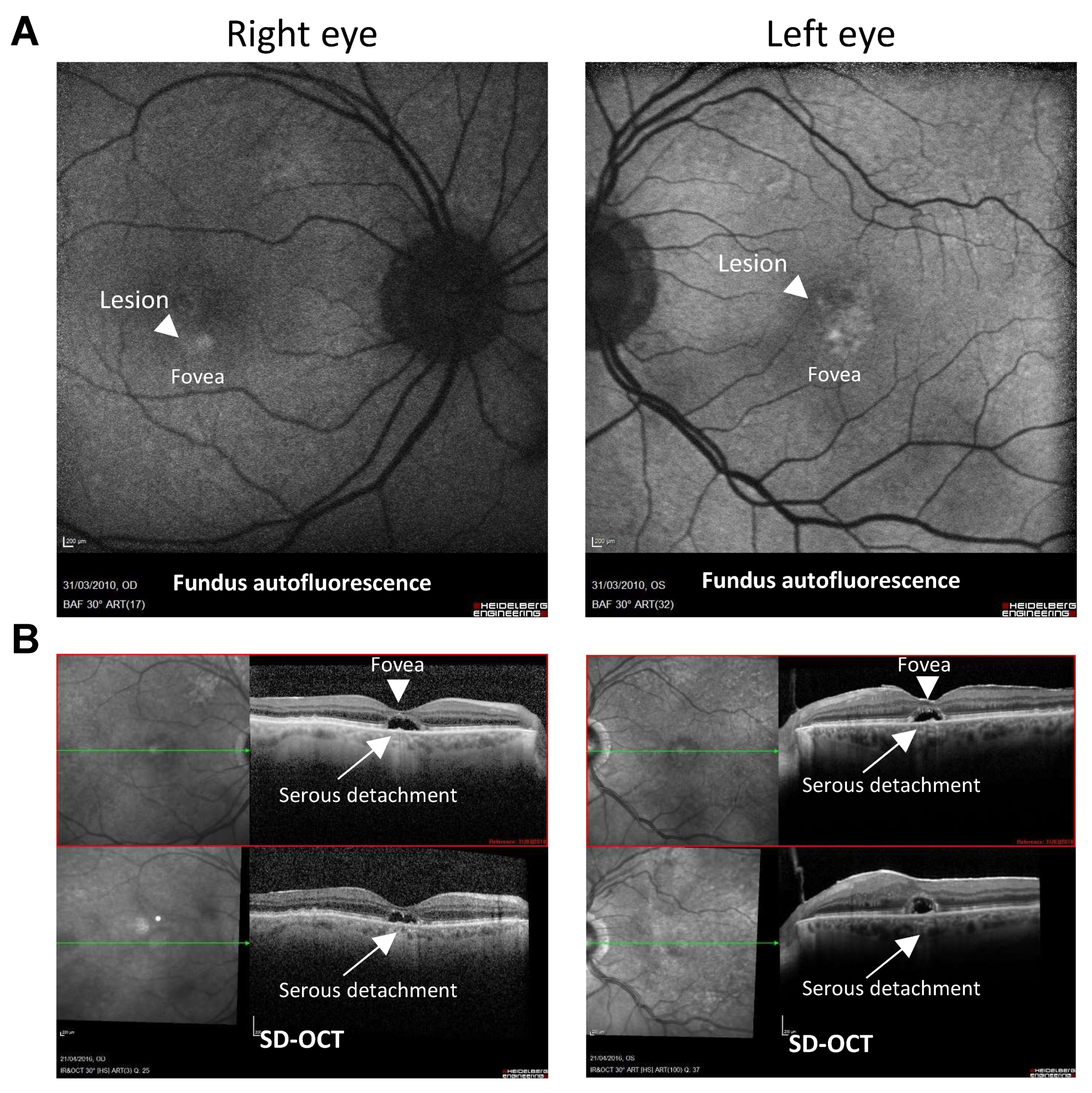 Cells 10 00179 g001 Cells 10 00179 g001