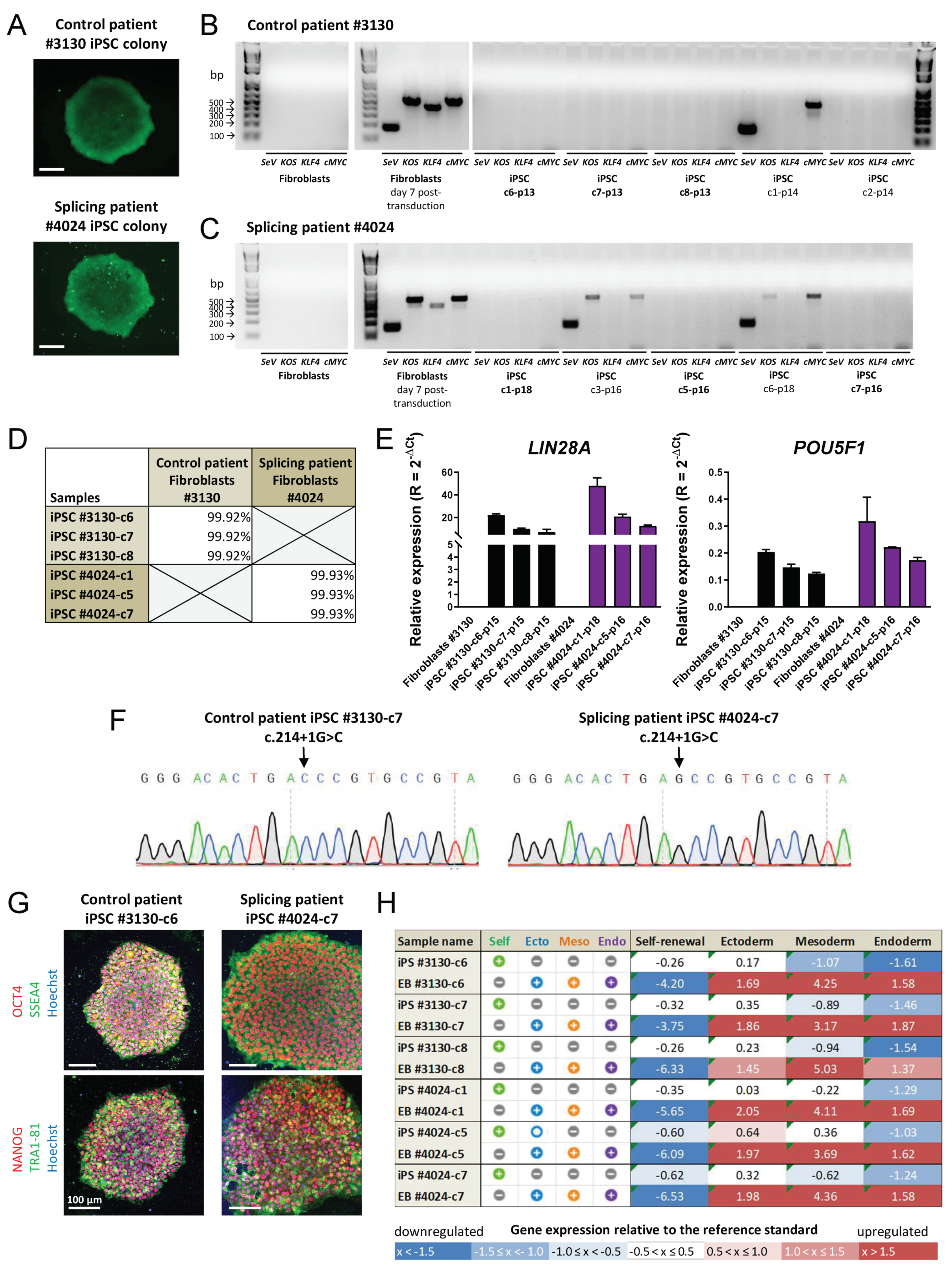 Cells 10 00179 g002 Cells 10 00179 g002