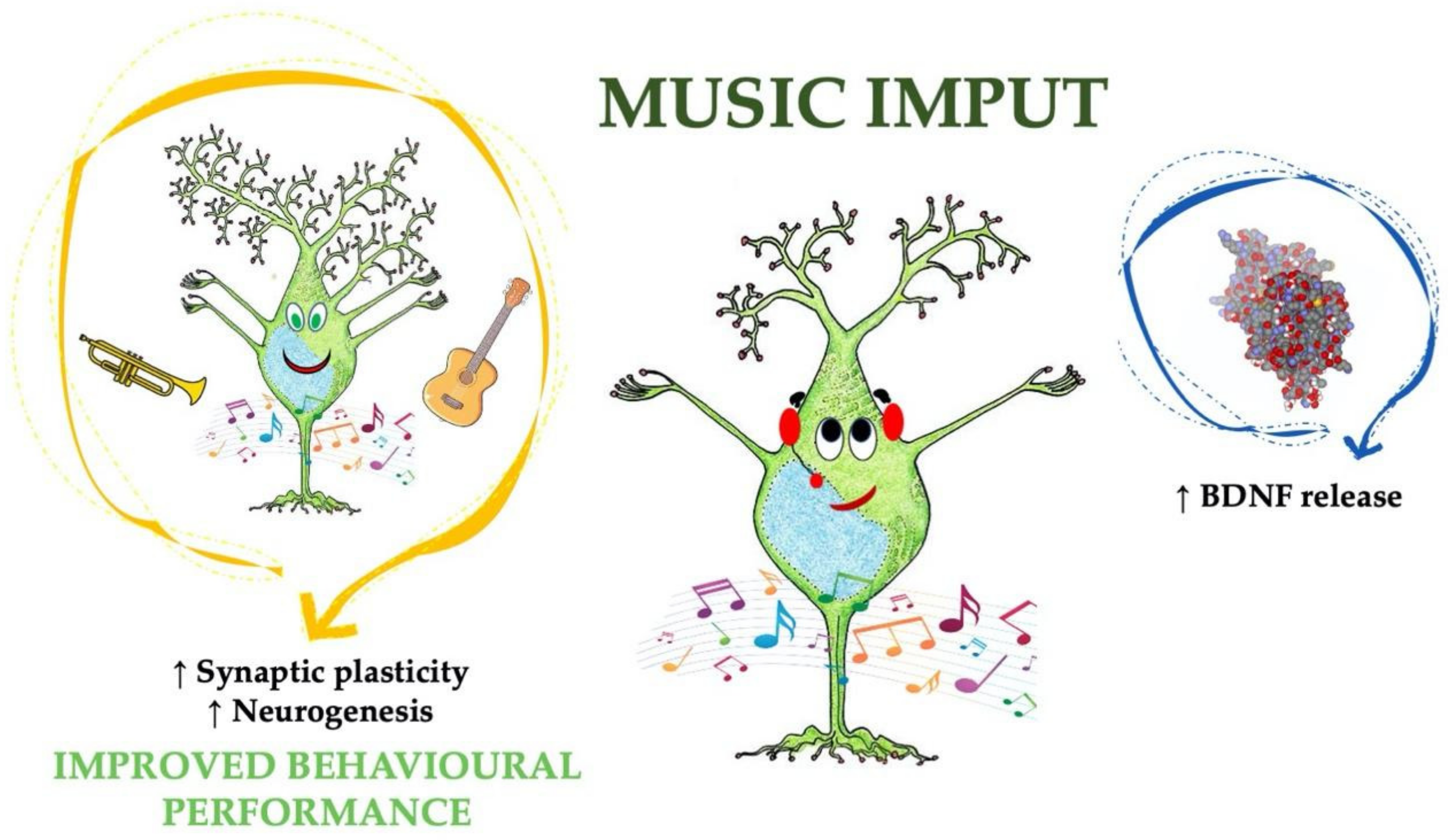Cells 10 00183 g002 Cells 10 00183 g002