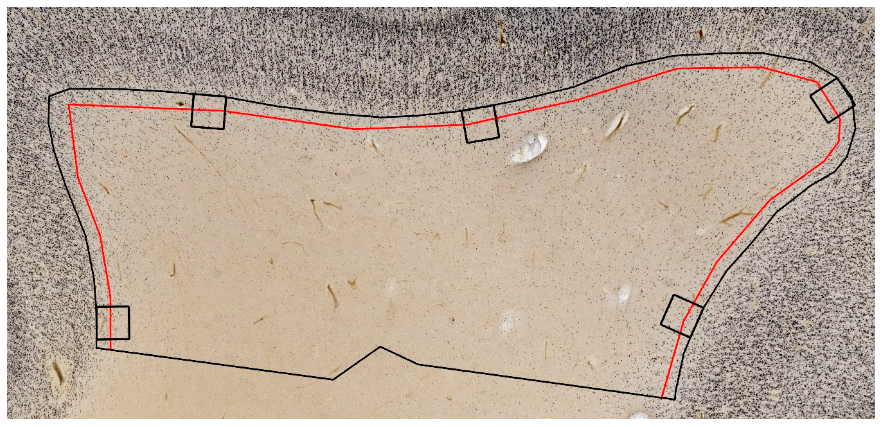 Cells 10 00190 g003