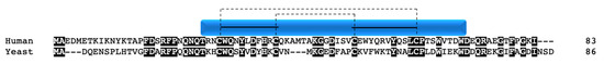 Cells 10 00197 g010 550