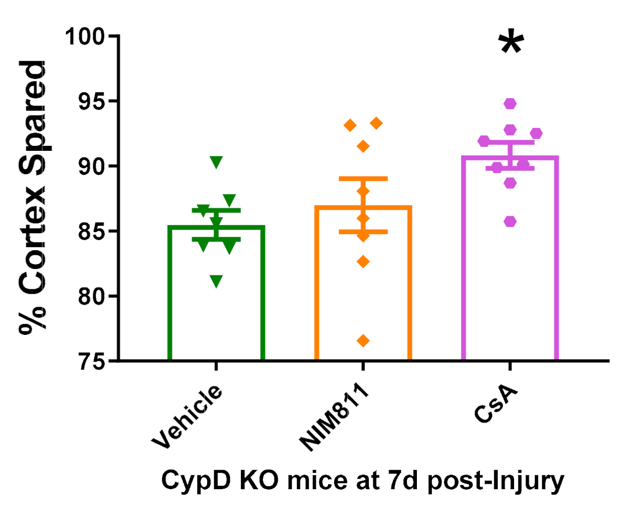 Cells 10 00199 g005 Cells 10 00199 g005