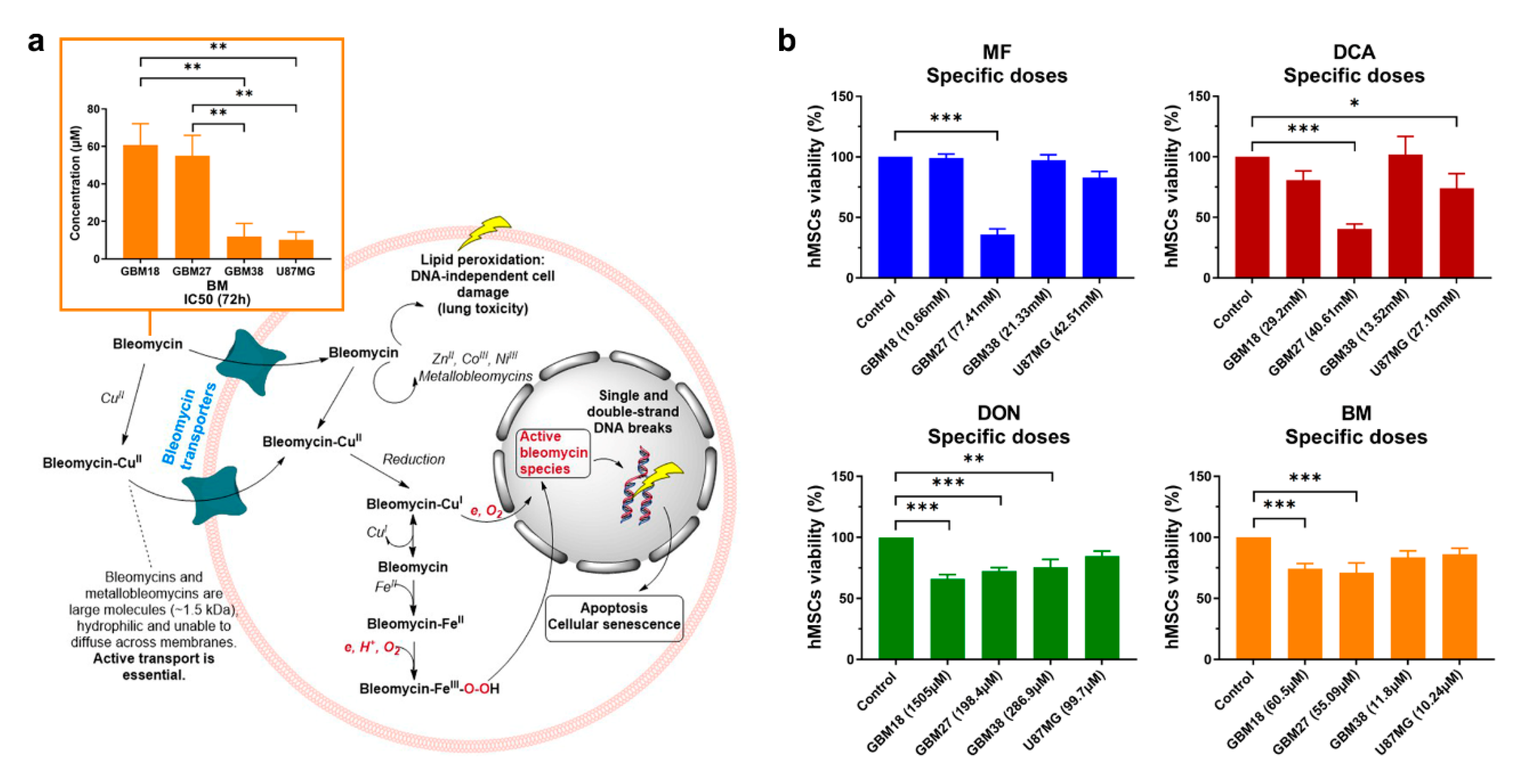 Cells 10 00202 g004 Cells 10 00202 g004