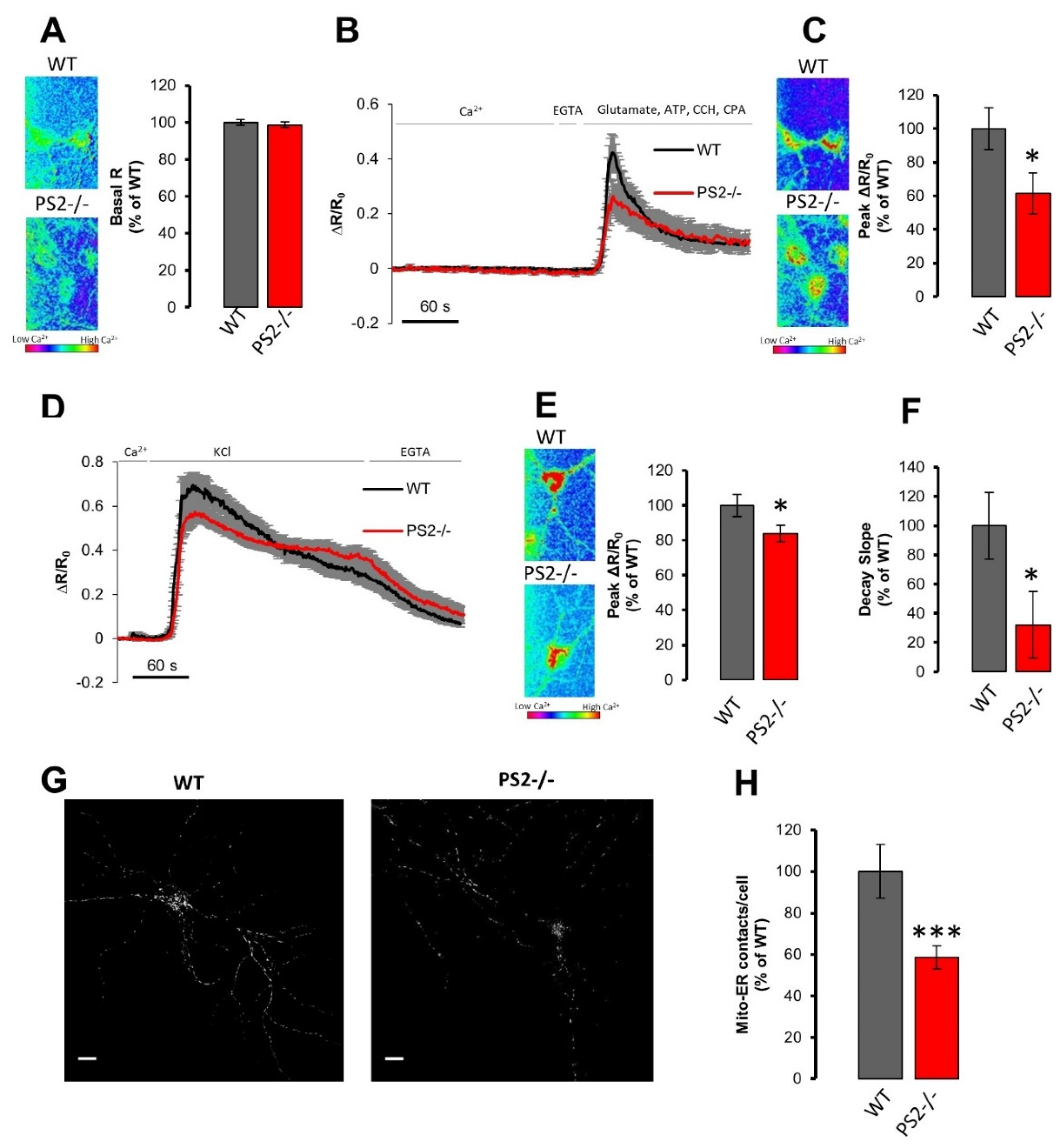 Cells 10 00204 g002 Cells 10 00204 g002