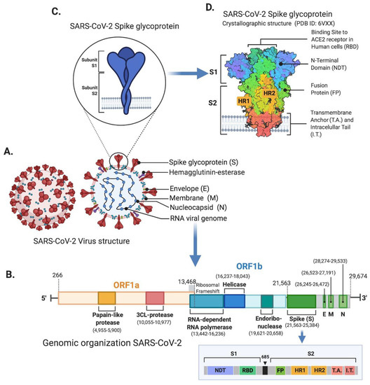 Viruses, Free Full-Text