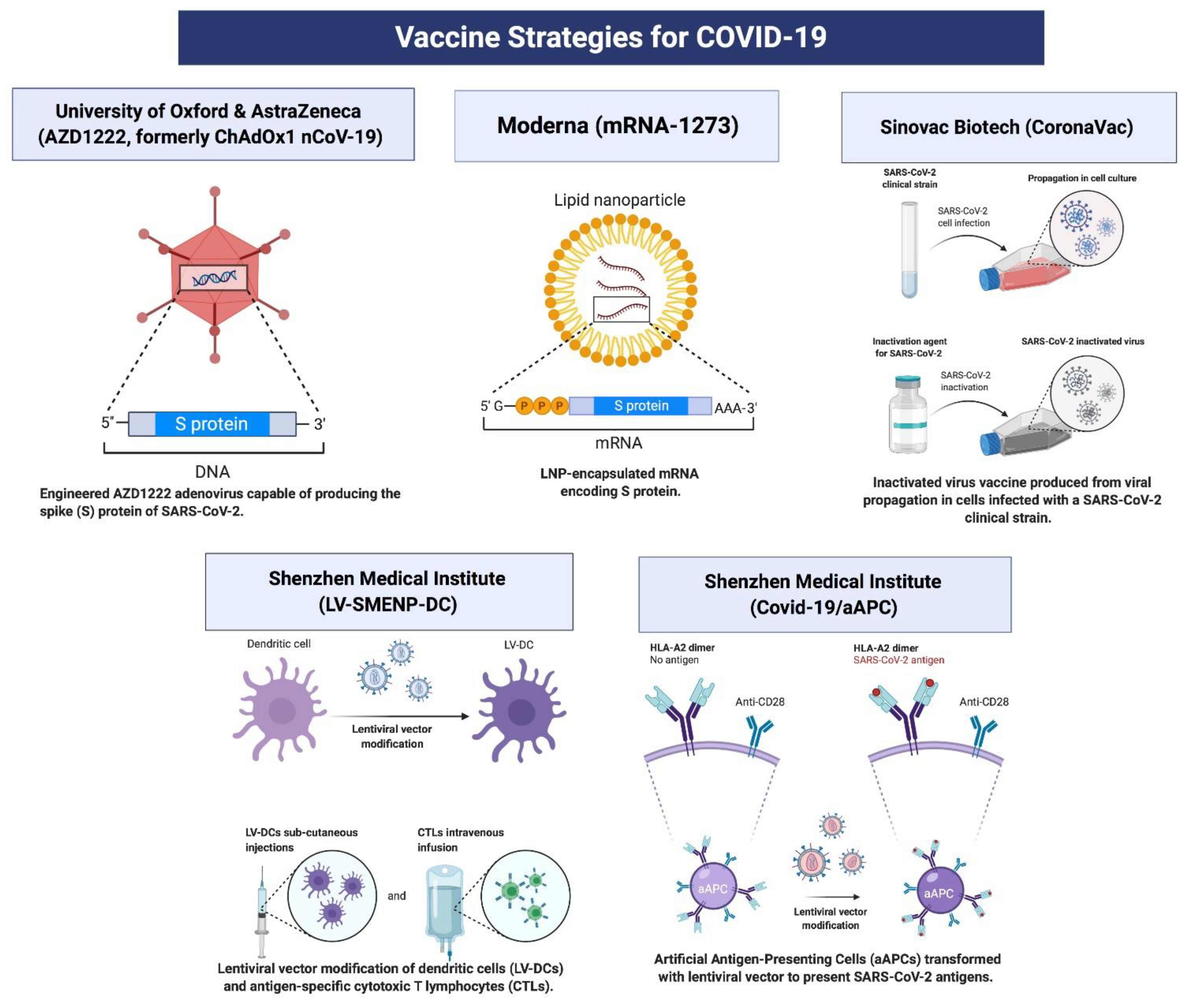 COVID-19: Characteristics and Therapeutics