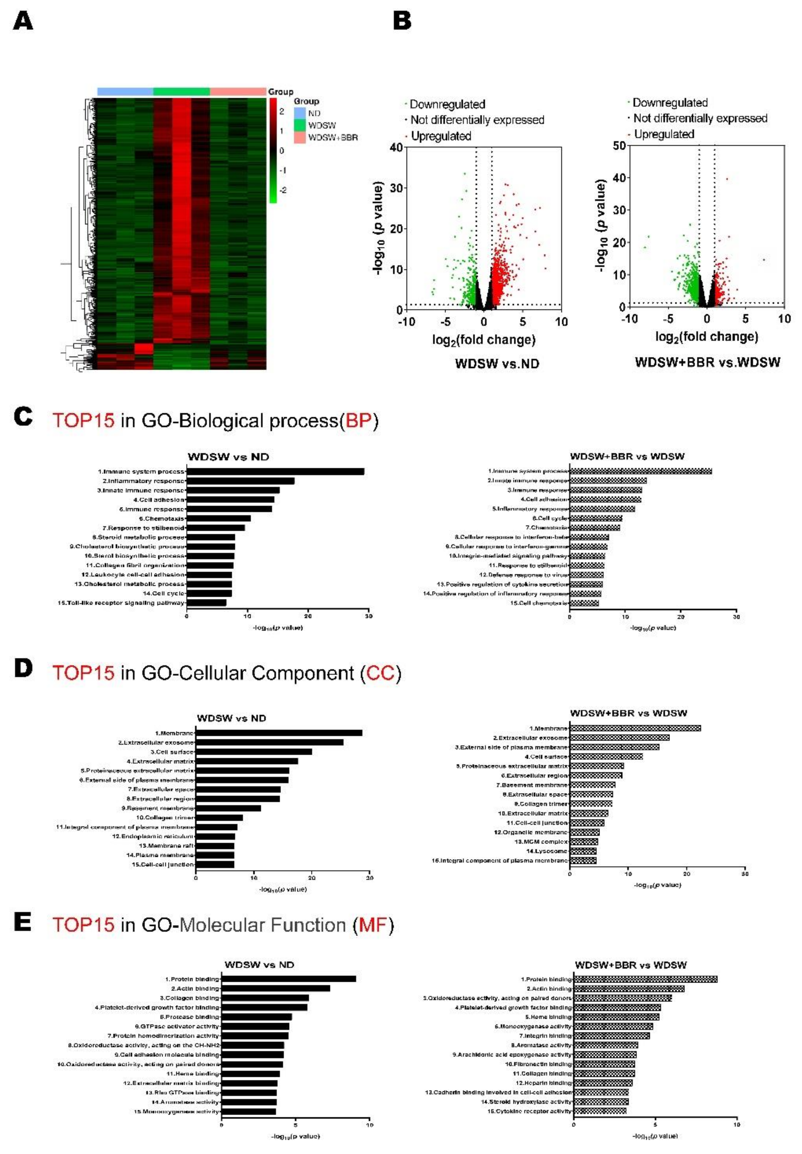 Cells 10 00210 g003 Cells 10 00210 g003
