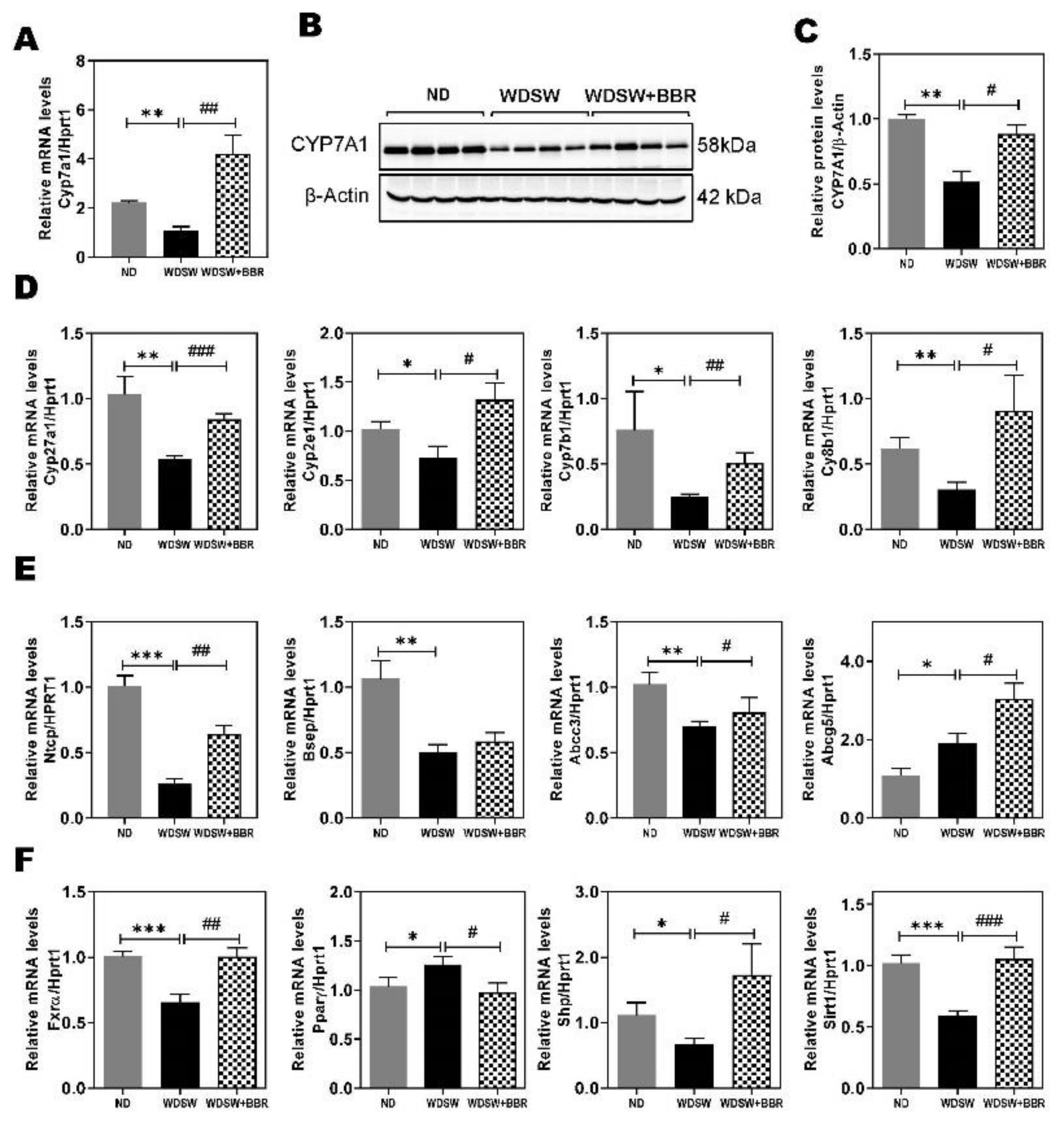 Cells 10 00210 g006 Cells 10 00210 g006