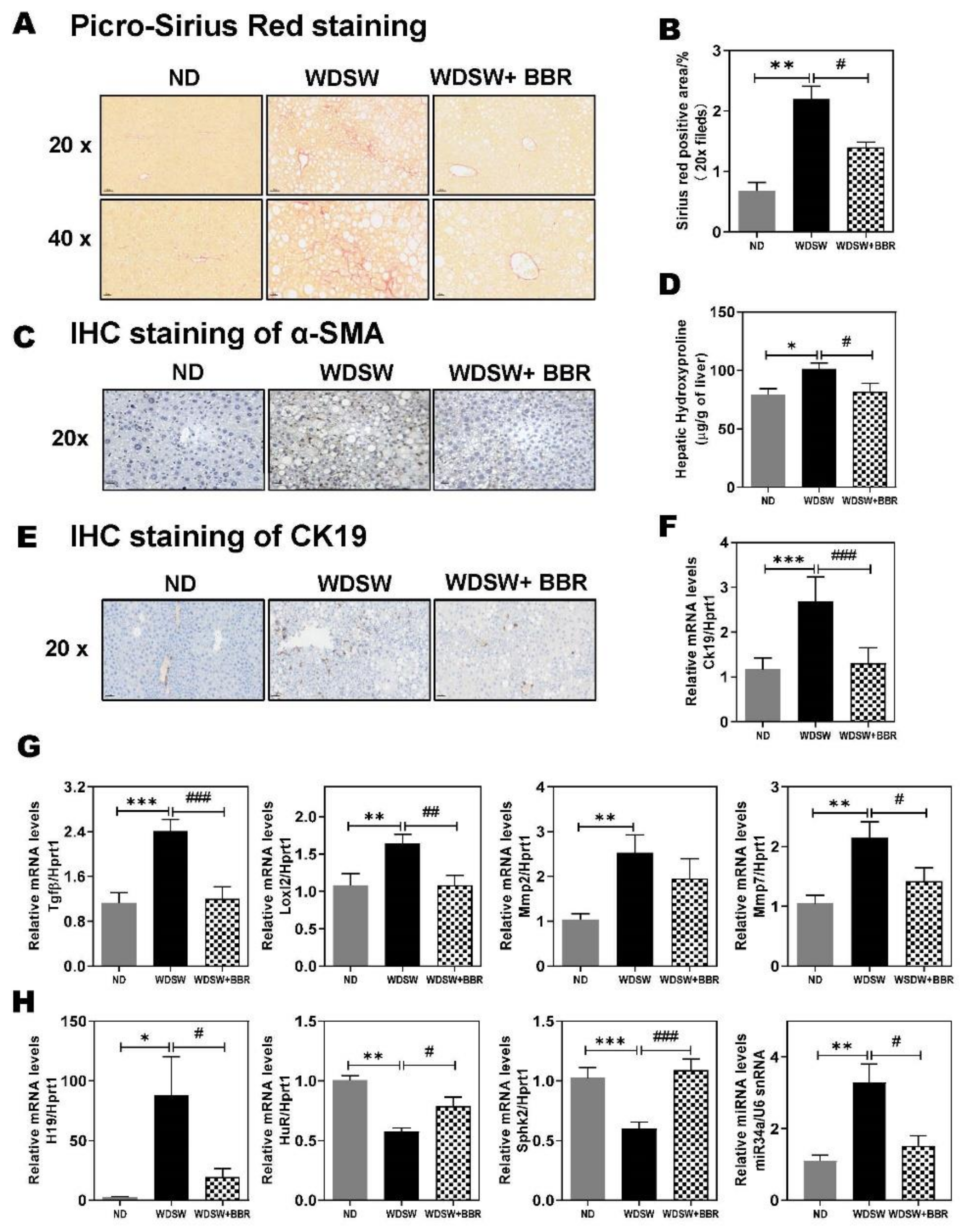 Cells 10 00210 g007 Cells 10 00210 g007