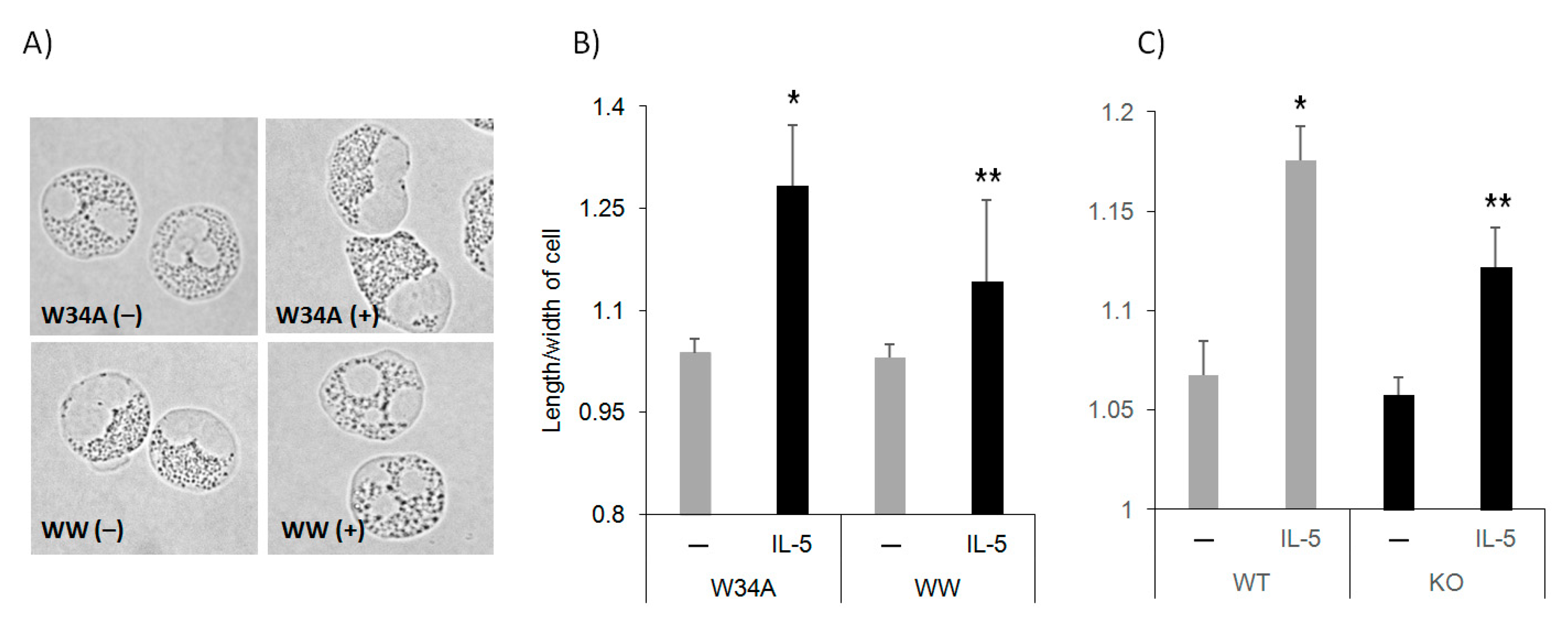 Cells 10 00211 g001 Cells 10 00211 g001