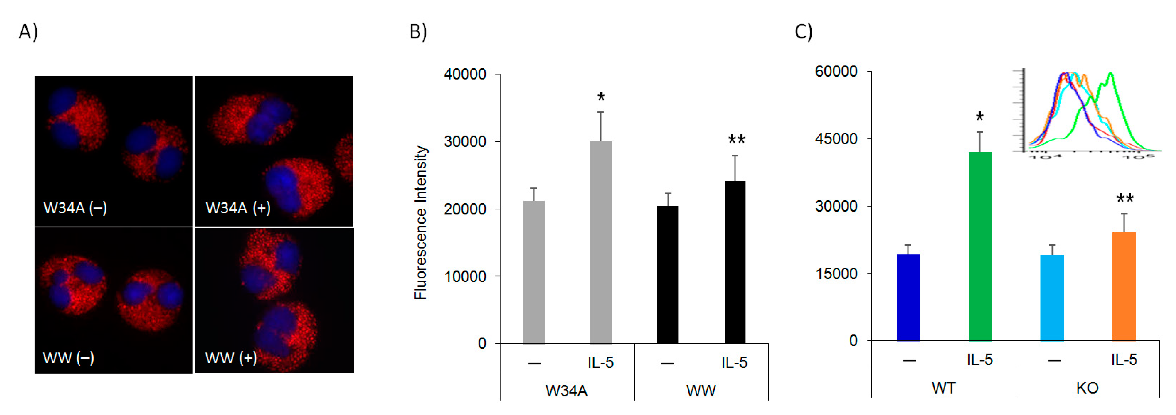 Cells 10 00211 g002 Cells 10 00211 g002