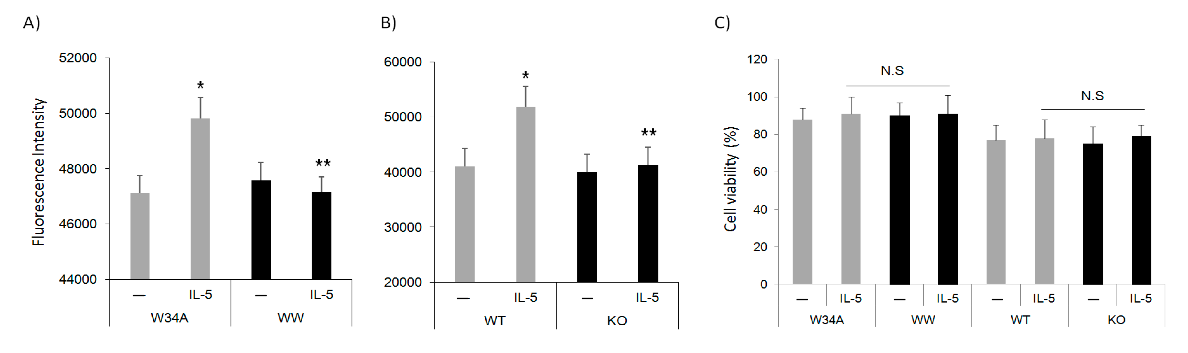 Cells 10 00211 g003 Cells 10 00211 g003