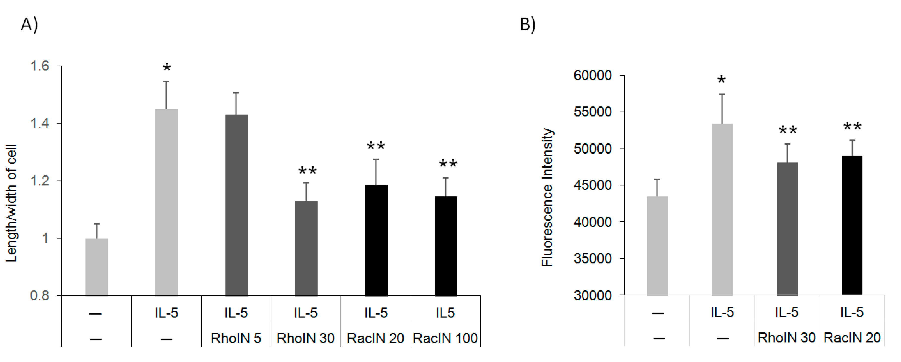 Cells 10 00211 g004 Cells 10 00211 g004