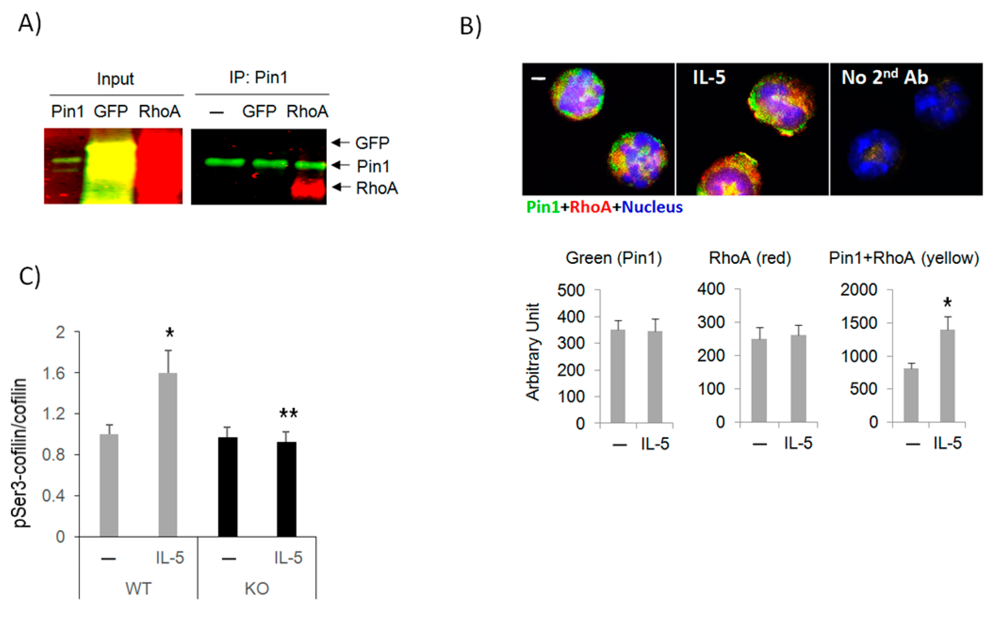 Cells 10 00211 g005 Cells 10 00211 g005