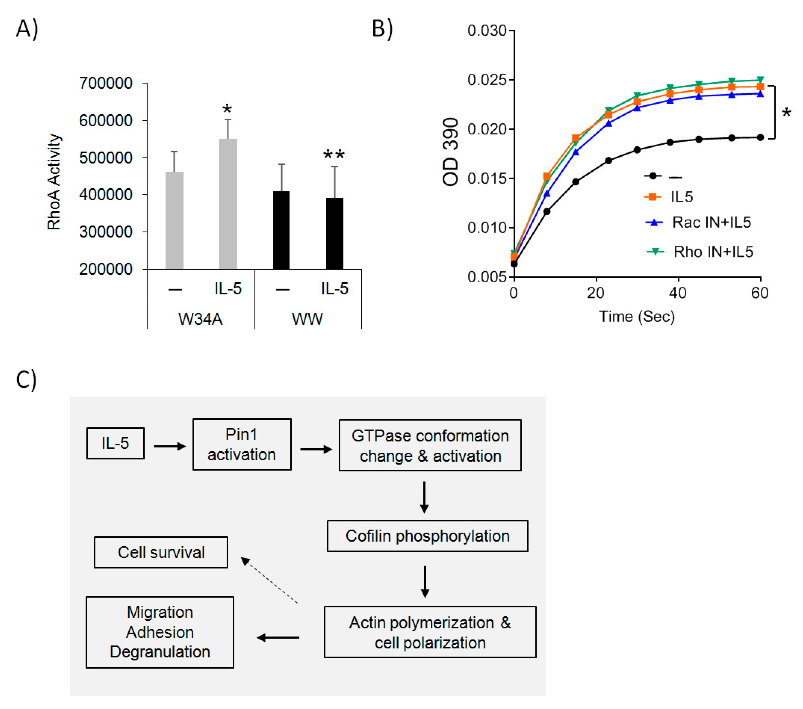 Cells 10 00211 g006 Cells 10 00211 g006