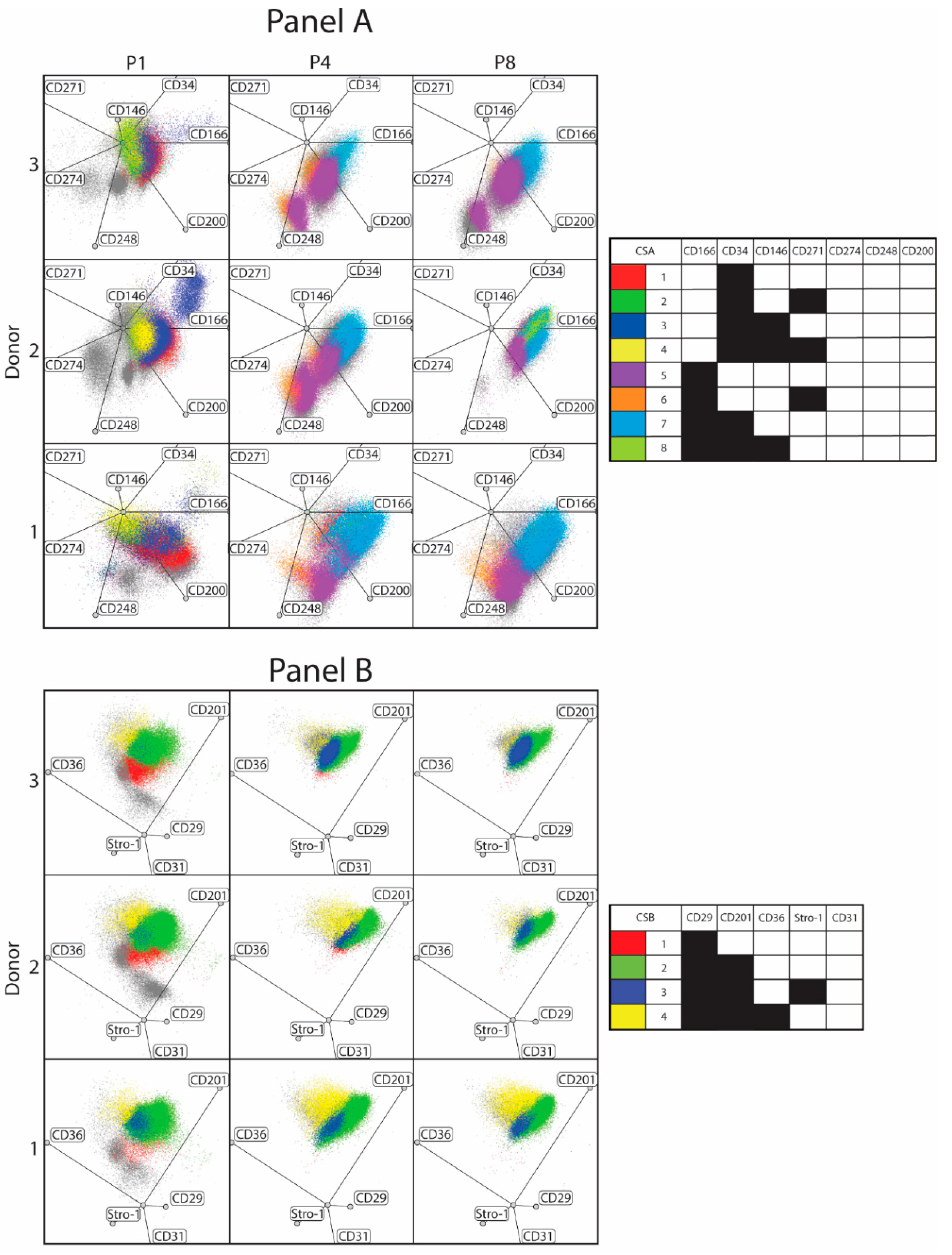 Cells 10 00218 g005 Cells 10 00218 g005