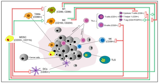 Cells 10 00223 g001 550