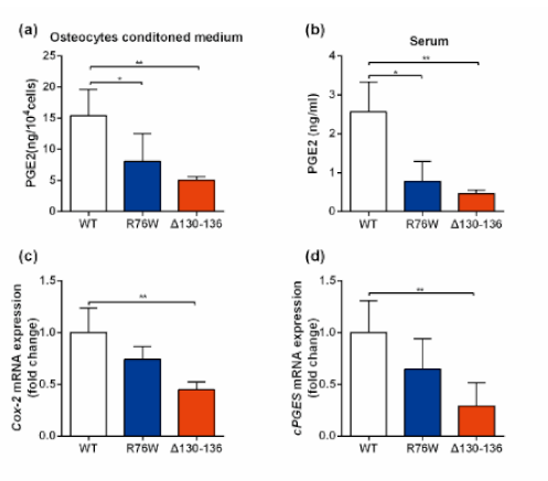 Cells 10 00237 g004 Cells 10 00237 g004