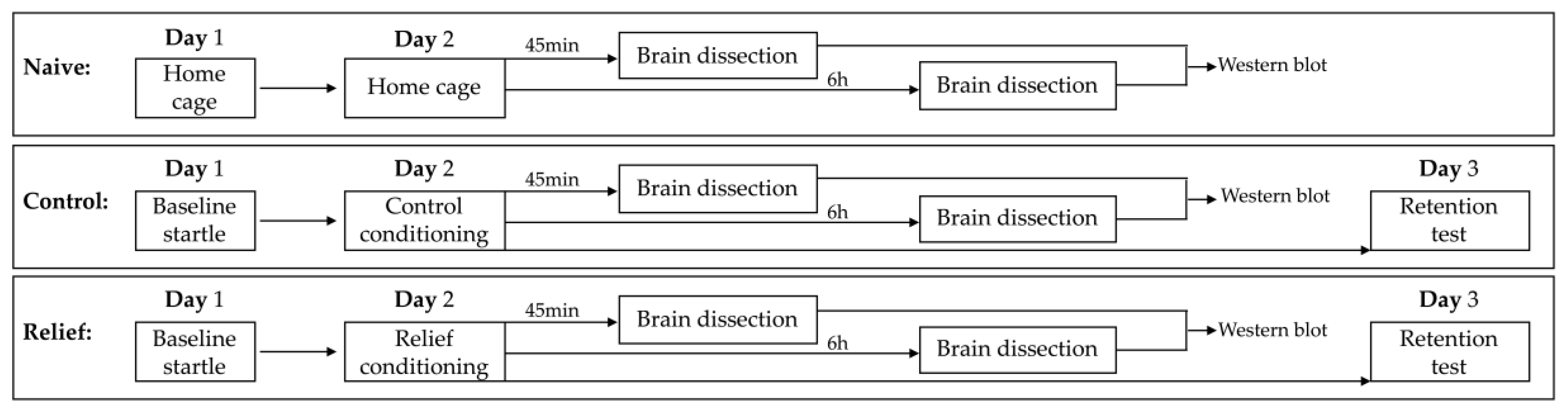 Cells 10 00238 g001 Cells 10 00238 g001
