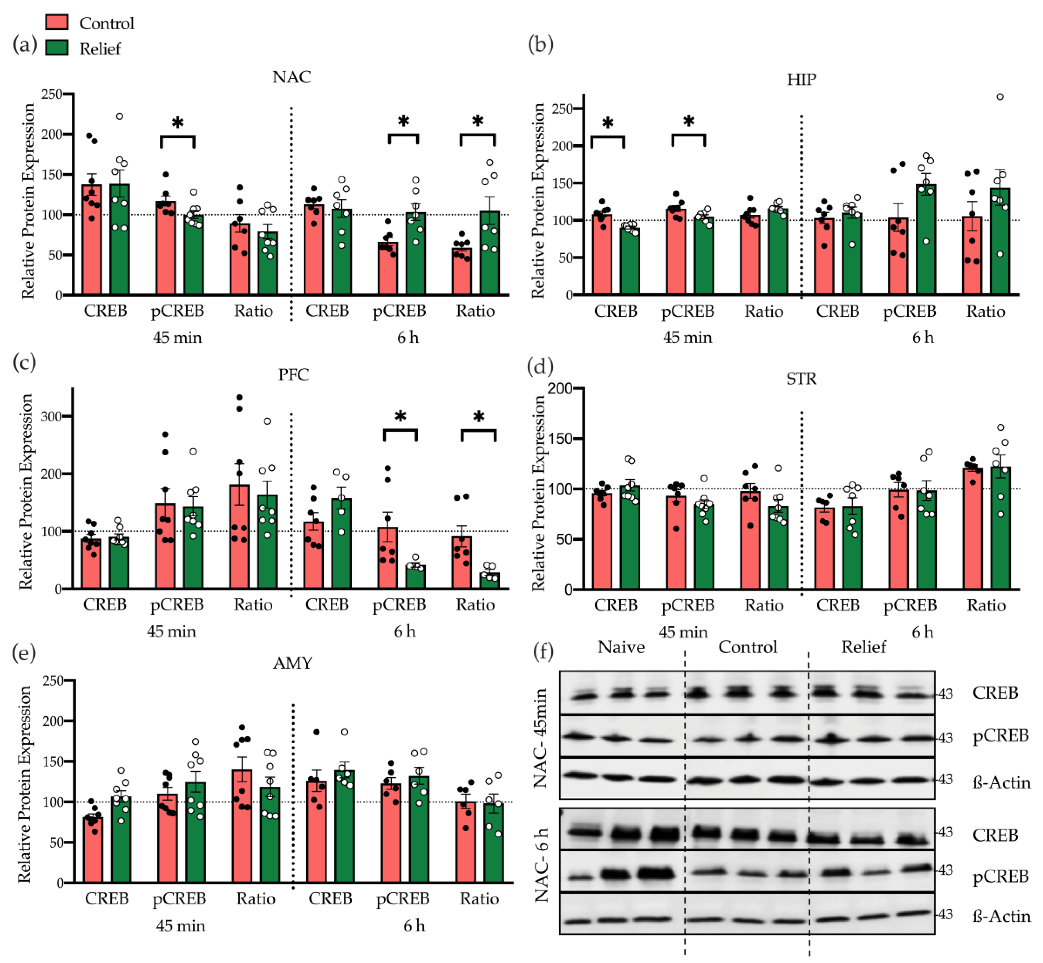Cells 10 00238 g003 Cells 10 00238 g003