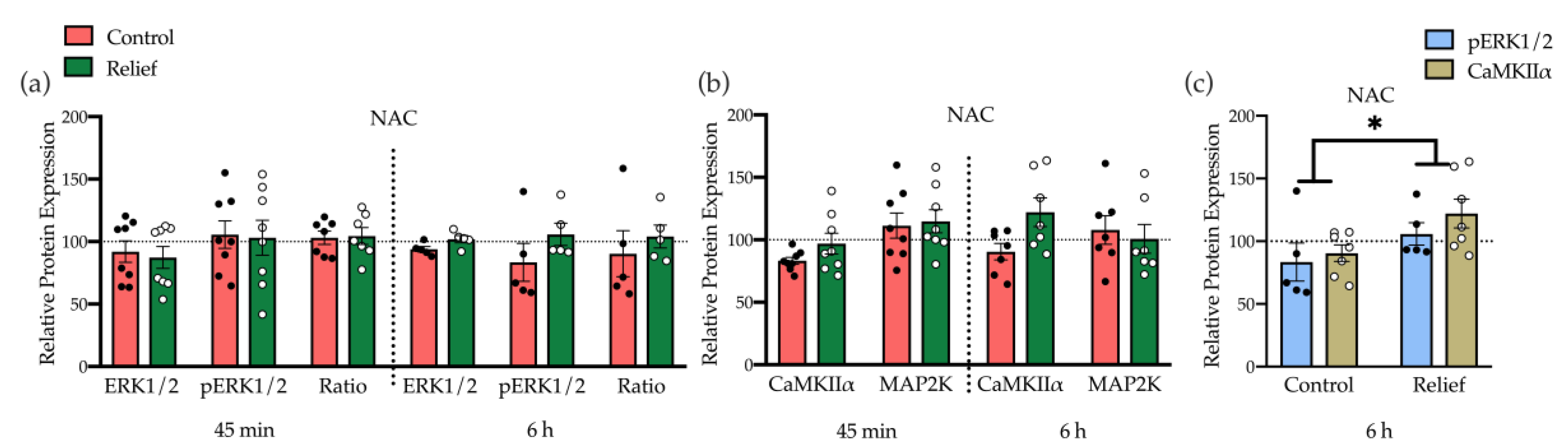 Cells 10 00238 g004 Cells 10 00238 g004