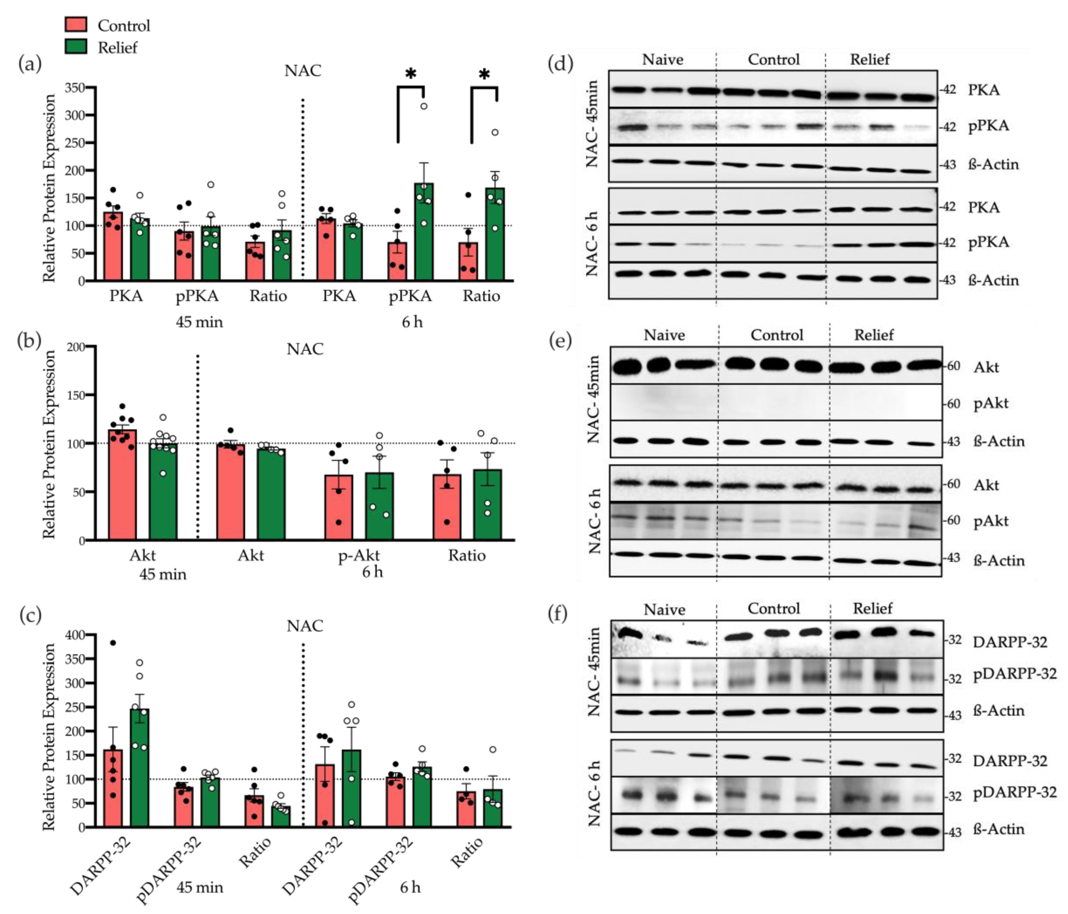 Cells 10 00238 g005 Cells 10 00238 g005