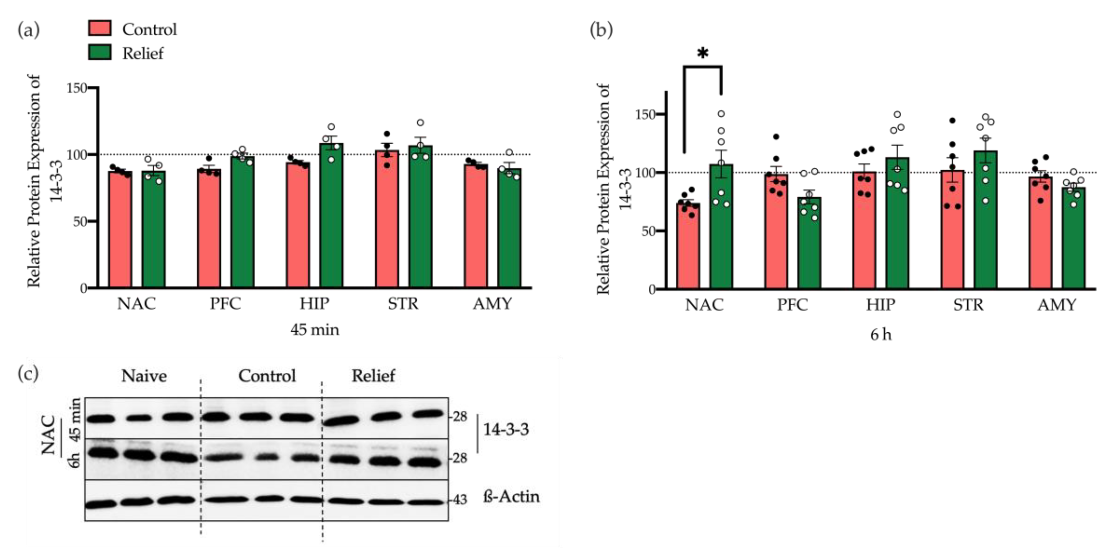 Cells 10 00238 g006 Cells 10 00238 g006