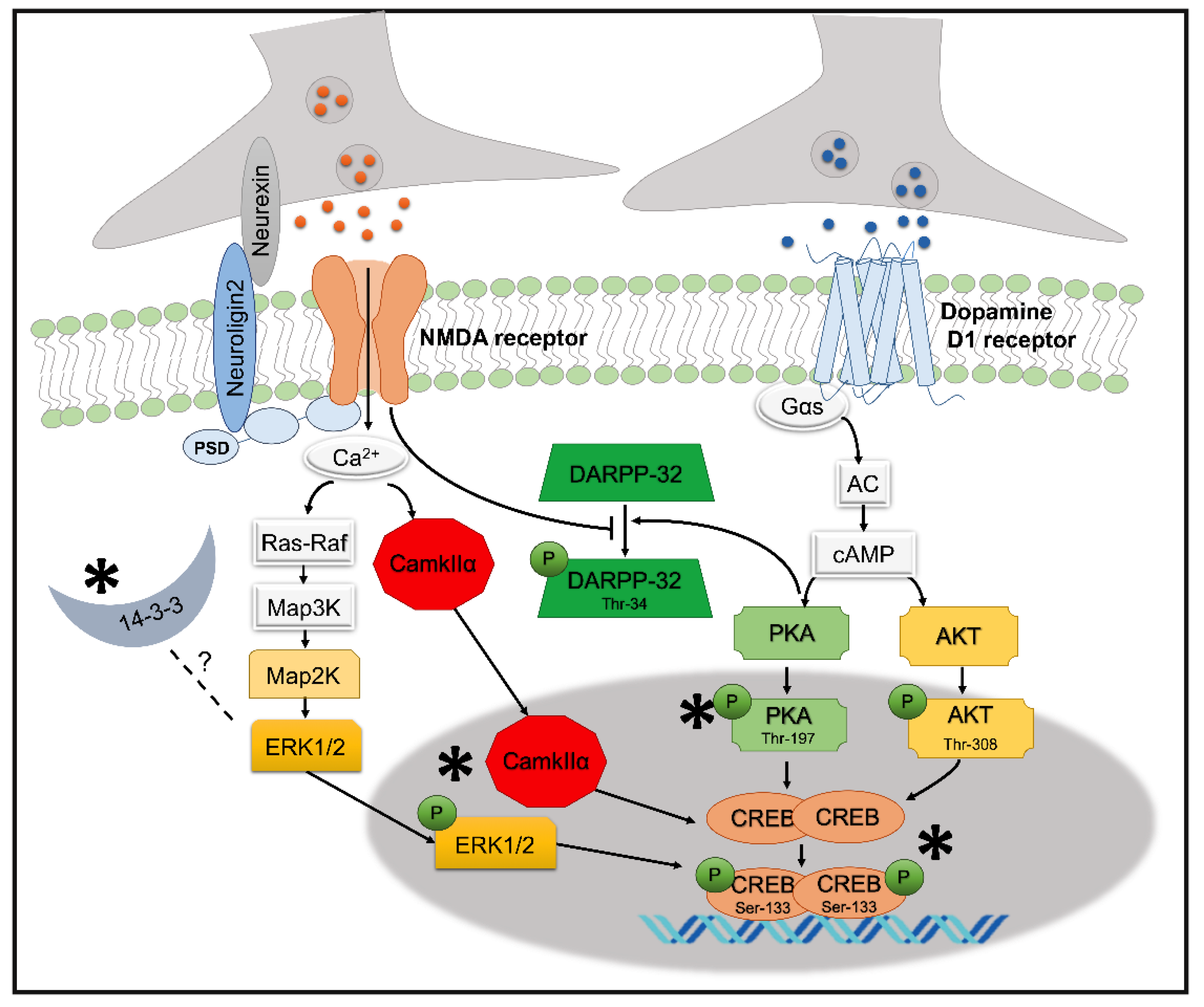 Cells 10 00238 g007 Cells 10 00238 g007