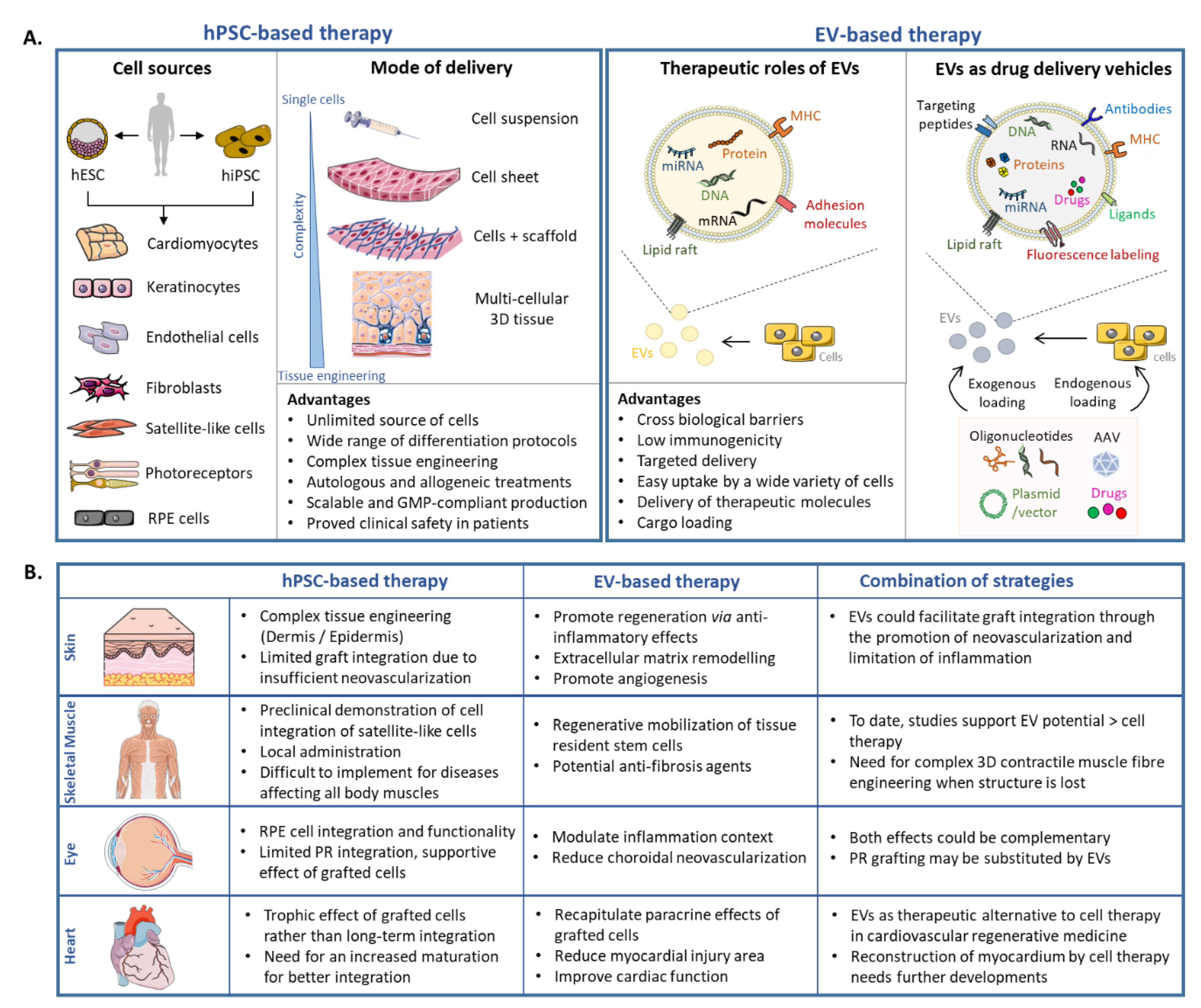 The Promise of Regenerative Medicine in Asia - MedTech Intelligence