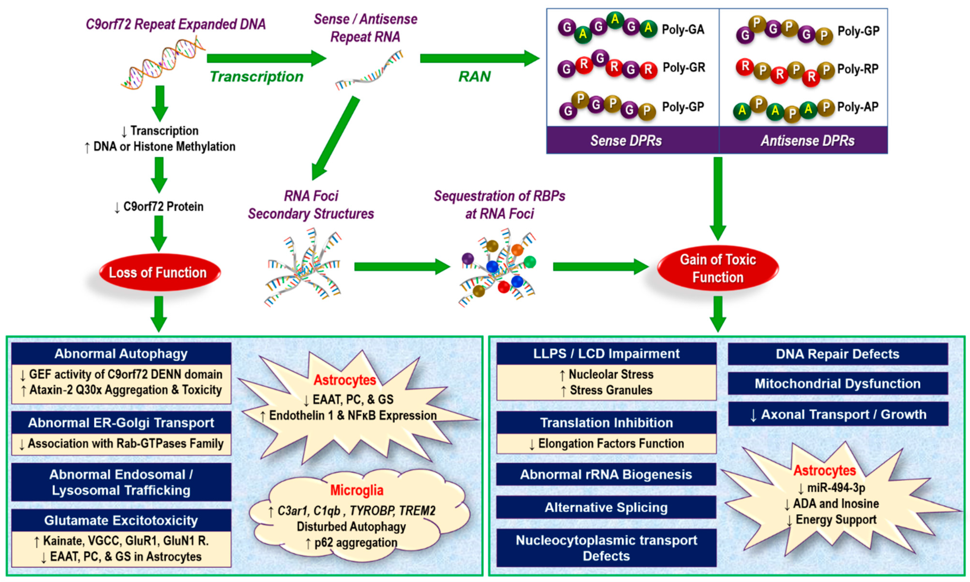 Cells 10 00249 g003 Cells 10 00249 g003