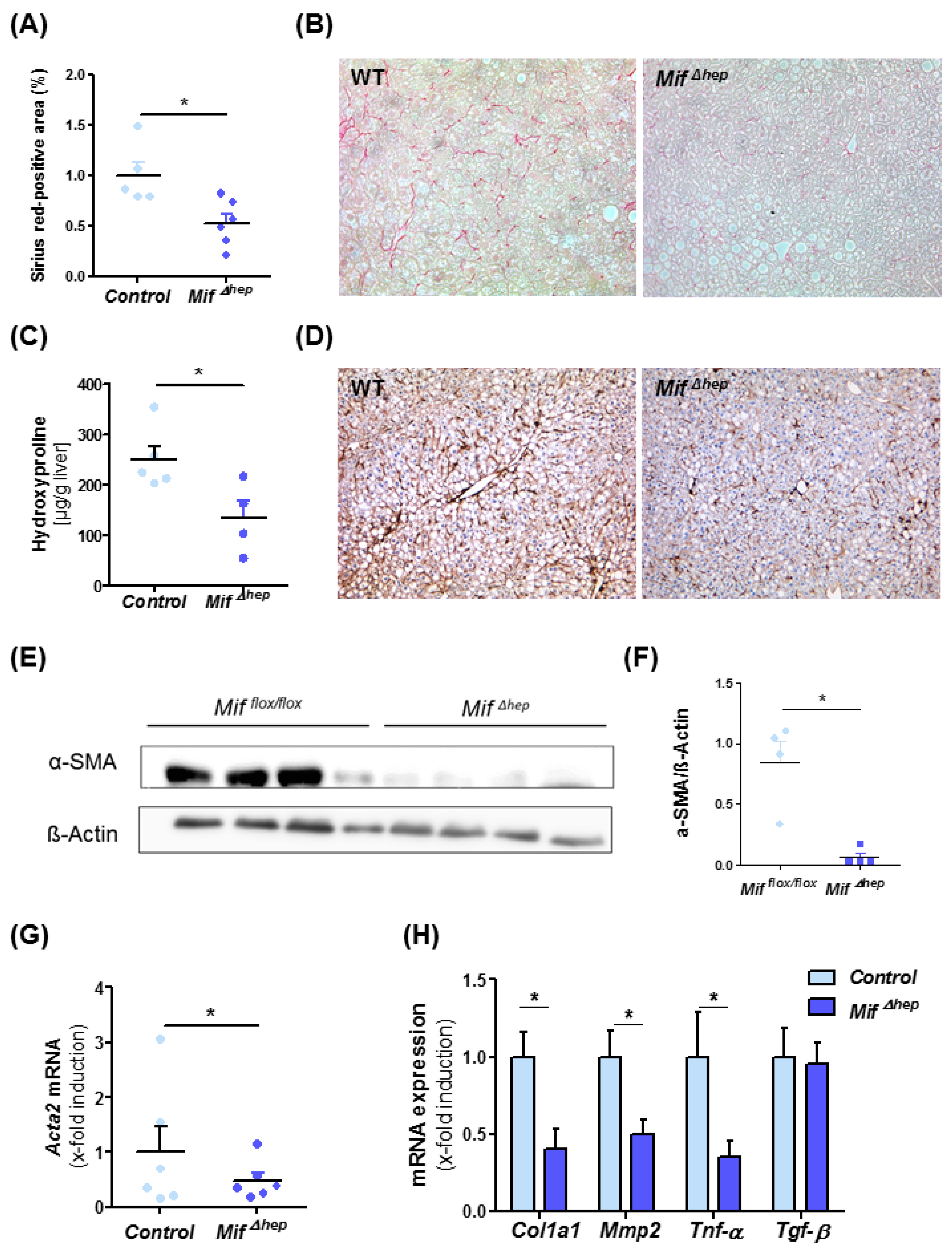 Cells 10 00252 g004