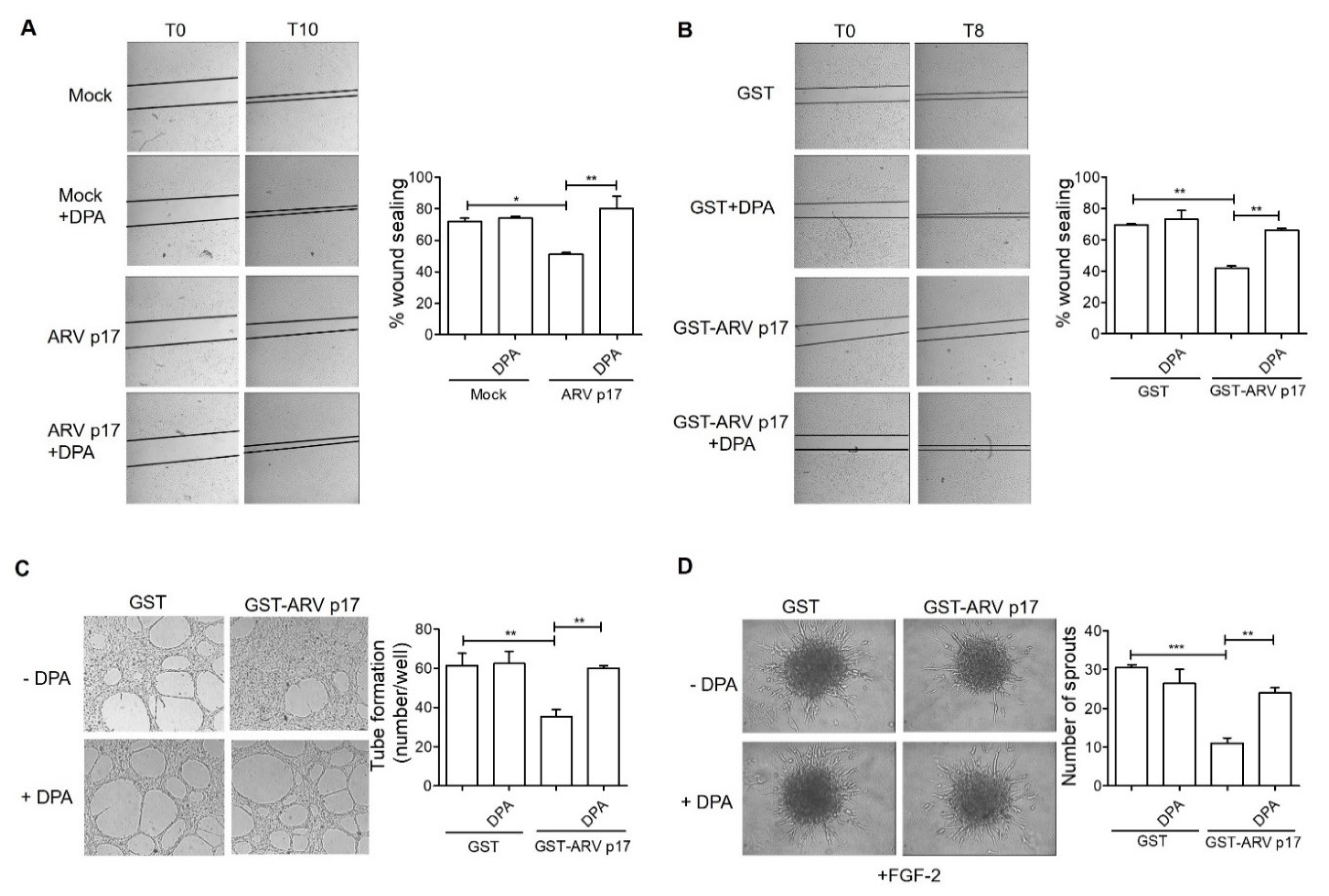 Cells 10 00259 g007
