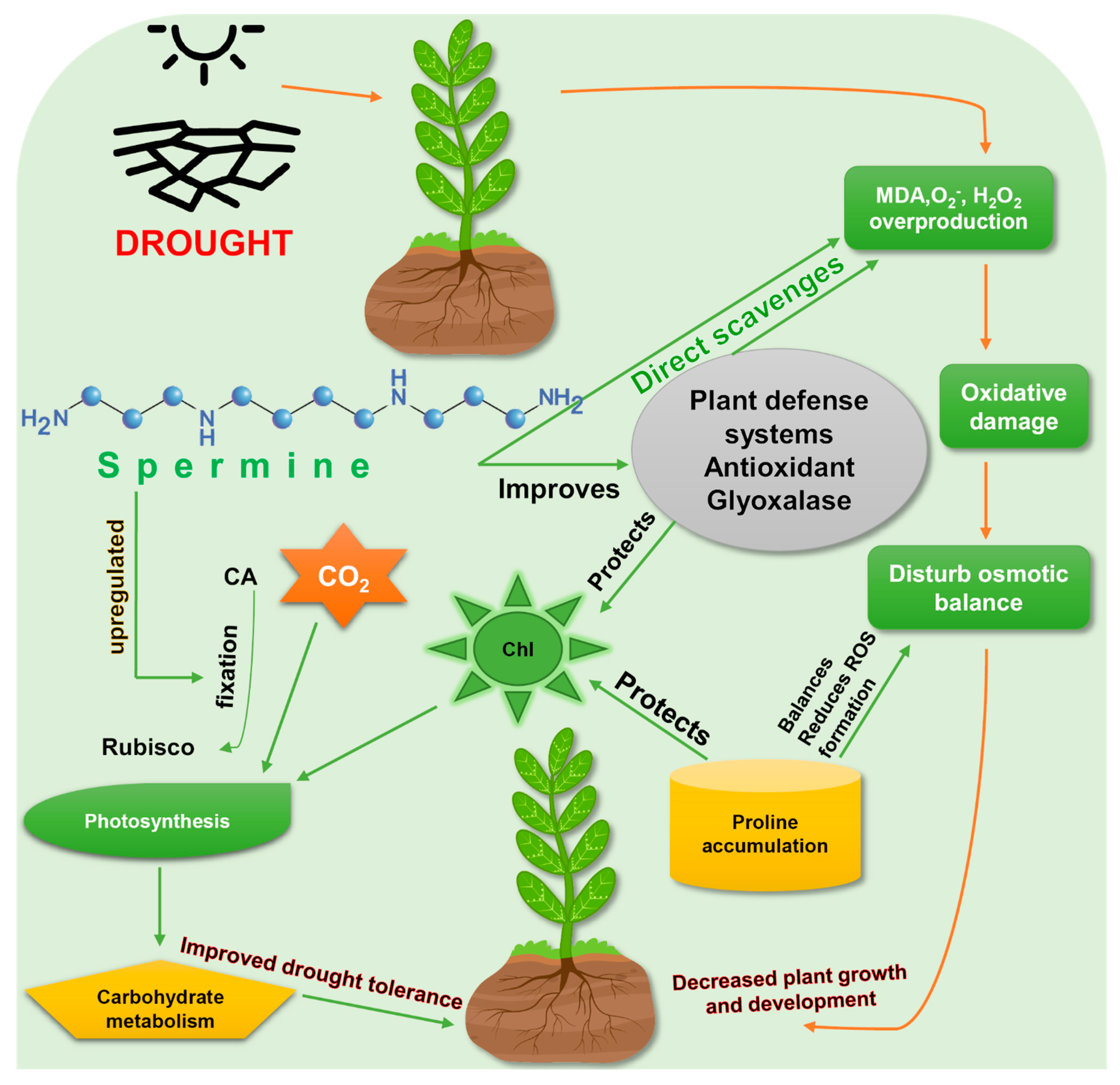 Cells 10 00261 g002 Cells 10 00261 g002