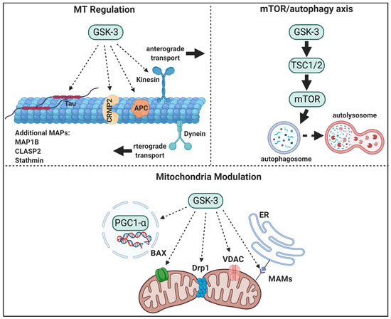 Cells 10 00262 g001 550