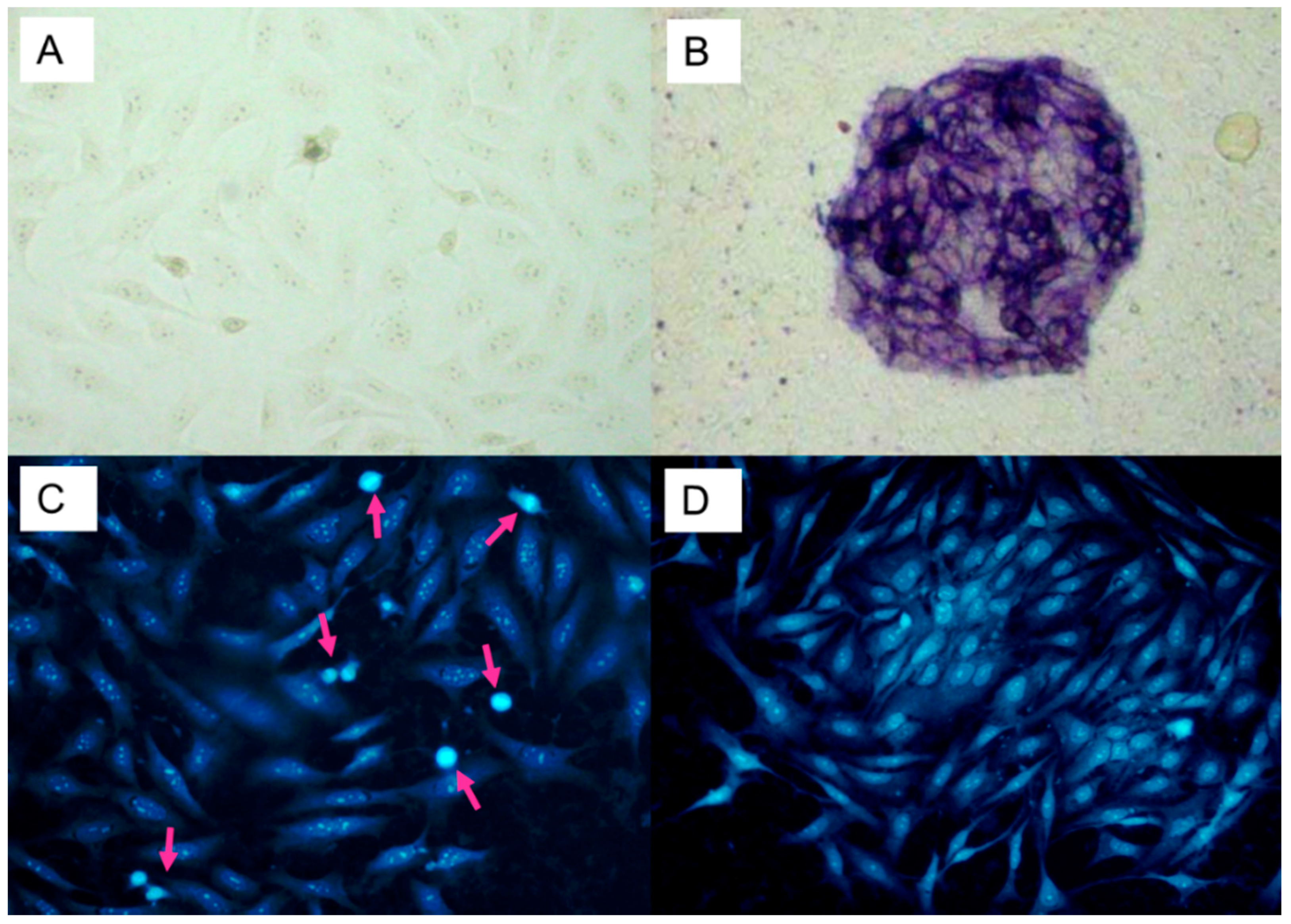 Cells 10 00269 g001 Cells 10 00269 g001