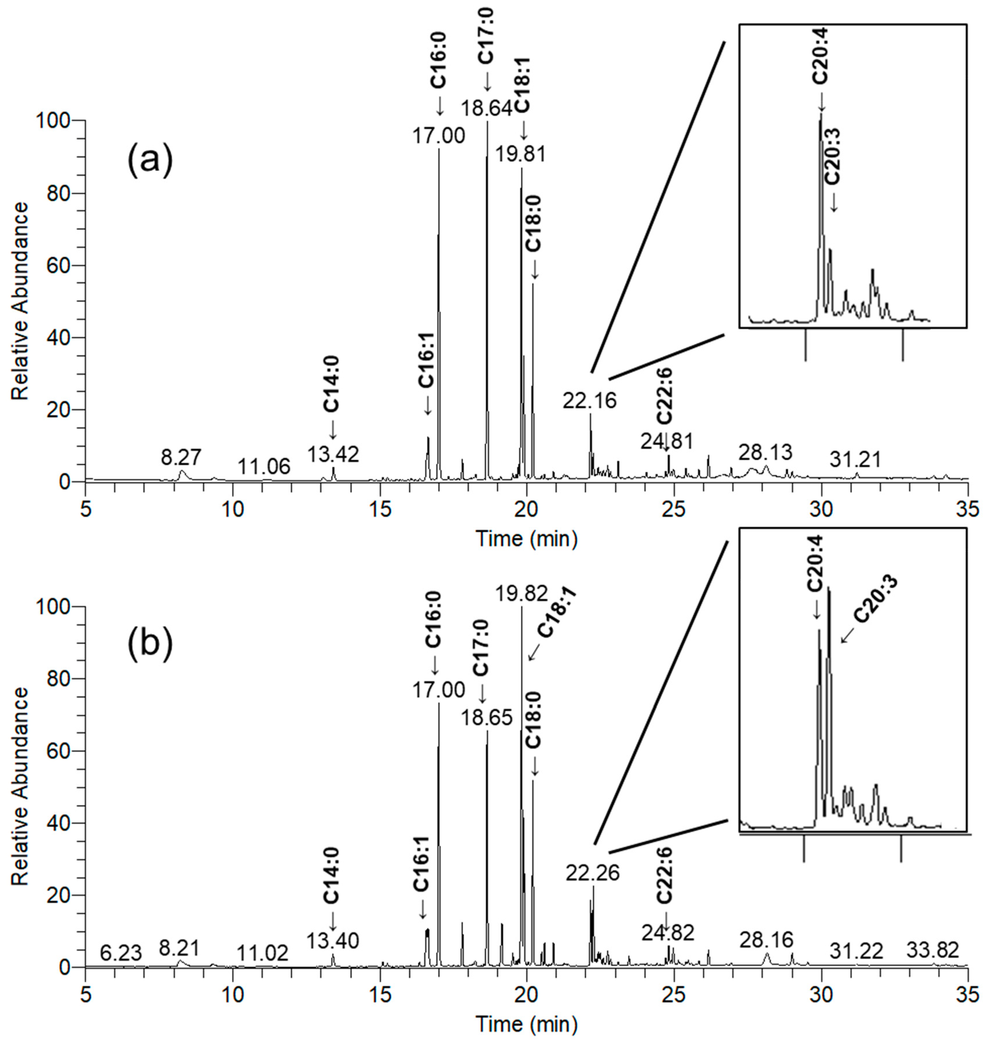 Cells 10 00269 g007 Cells 10 00269 g007