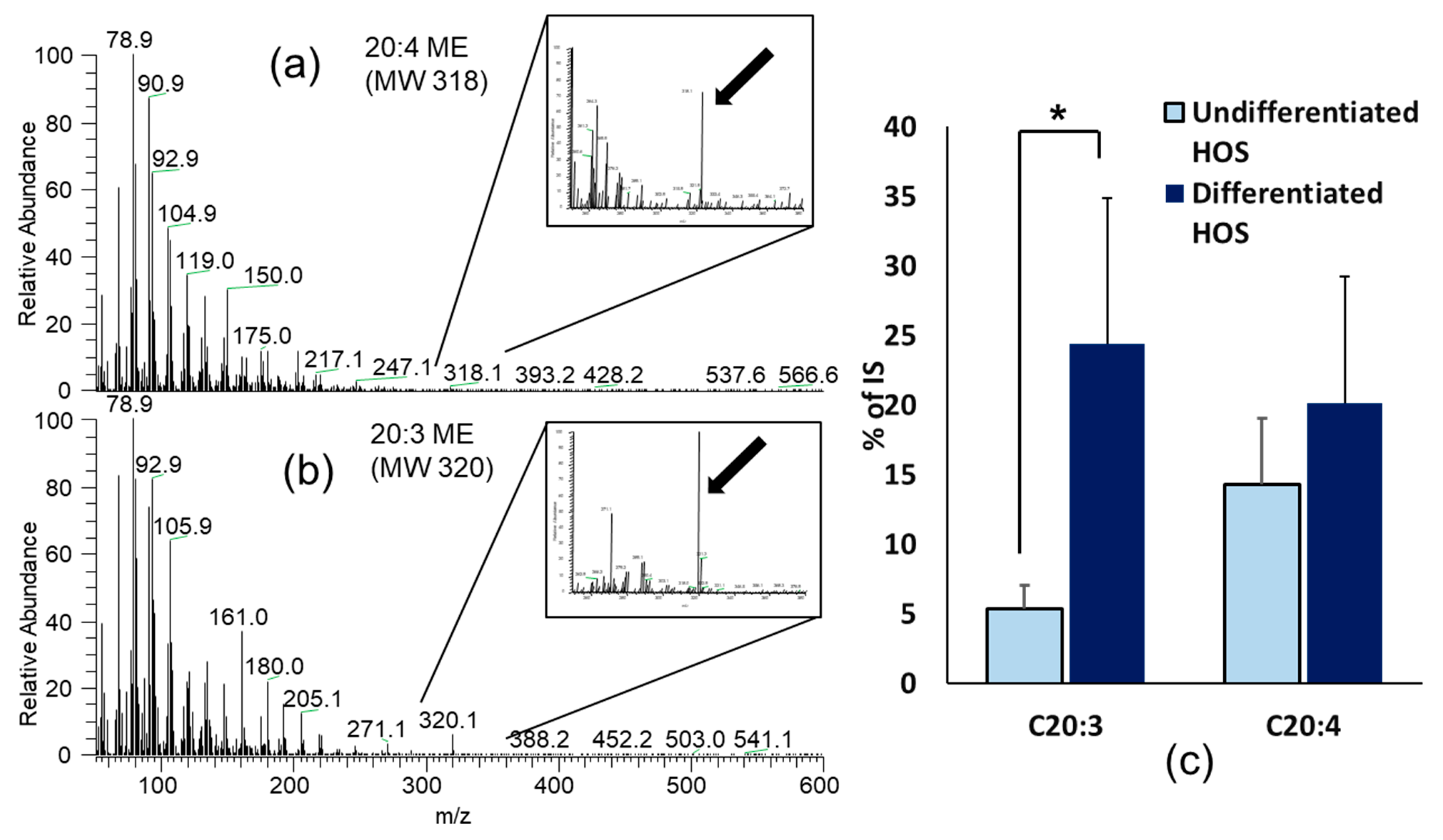Cells 10 00269 g008 Cells 10 00269 g008