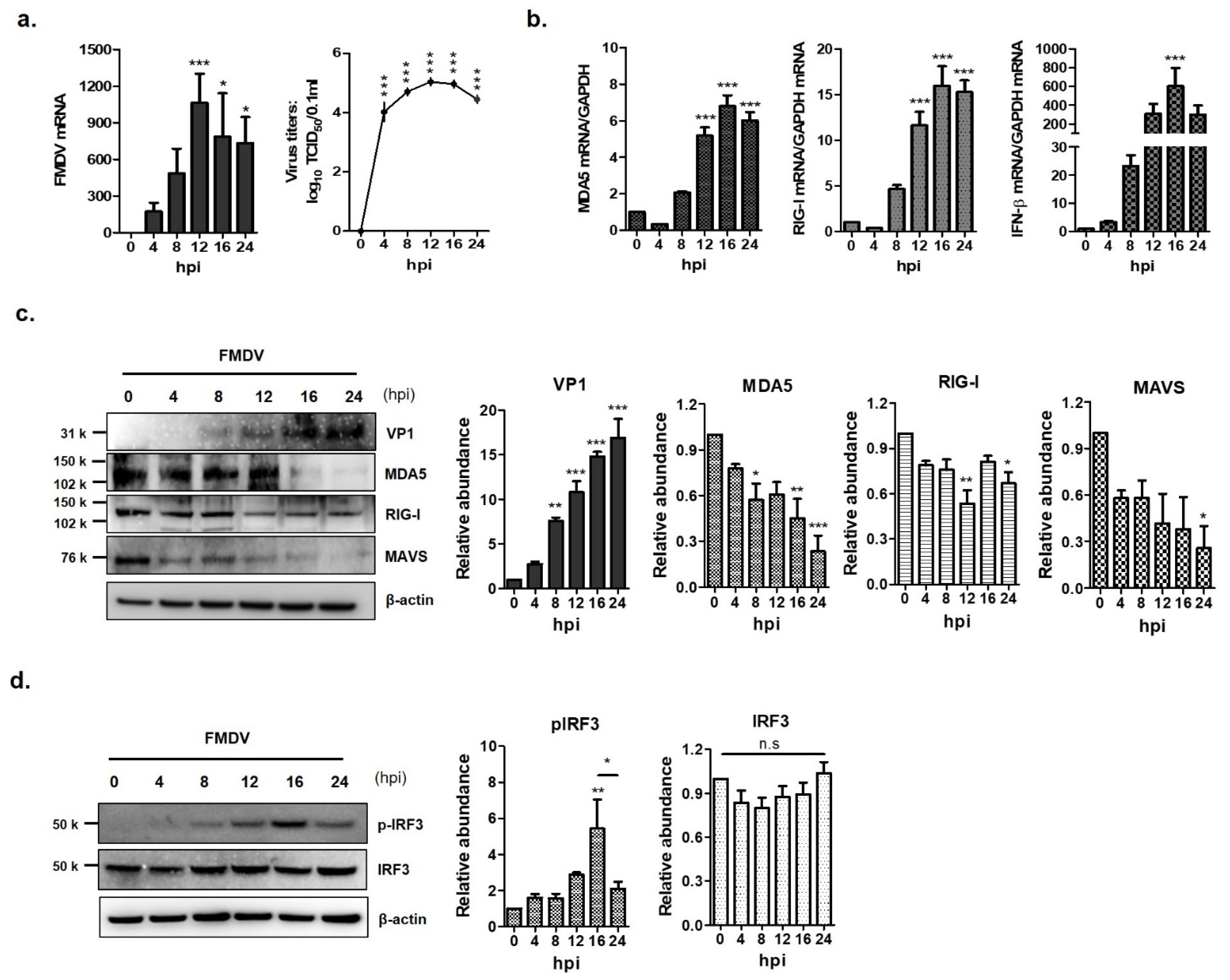 Cells 10 00271 g001 Cells 10 00271 g001