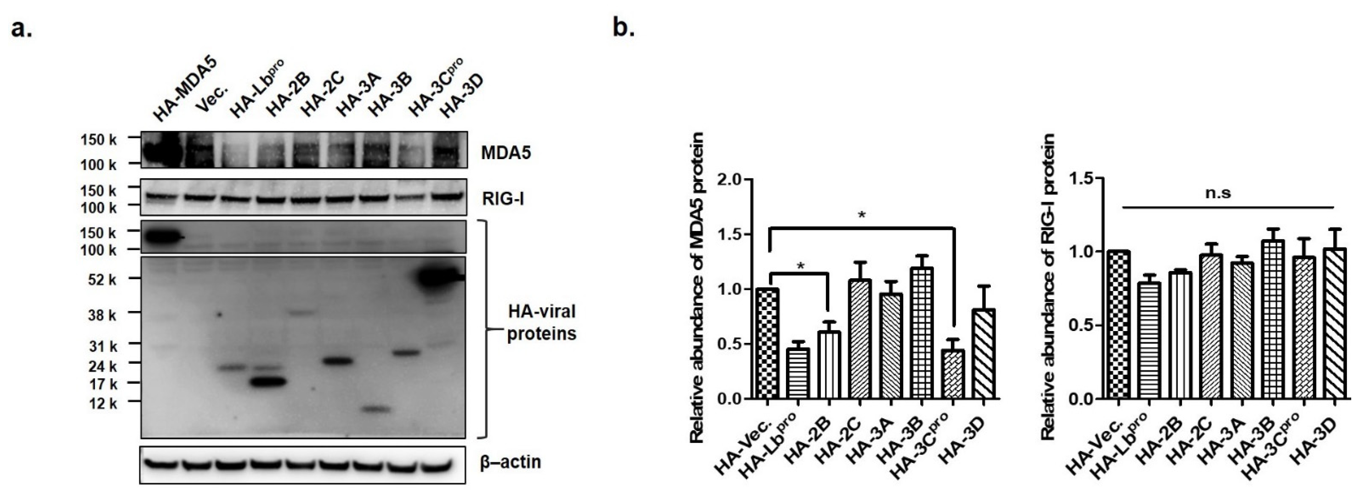 Cells 10 00271 g002 Cells 10 00271 g002