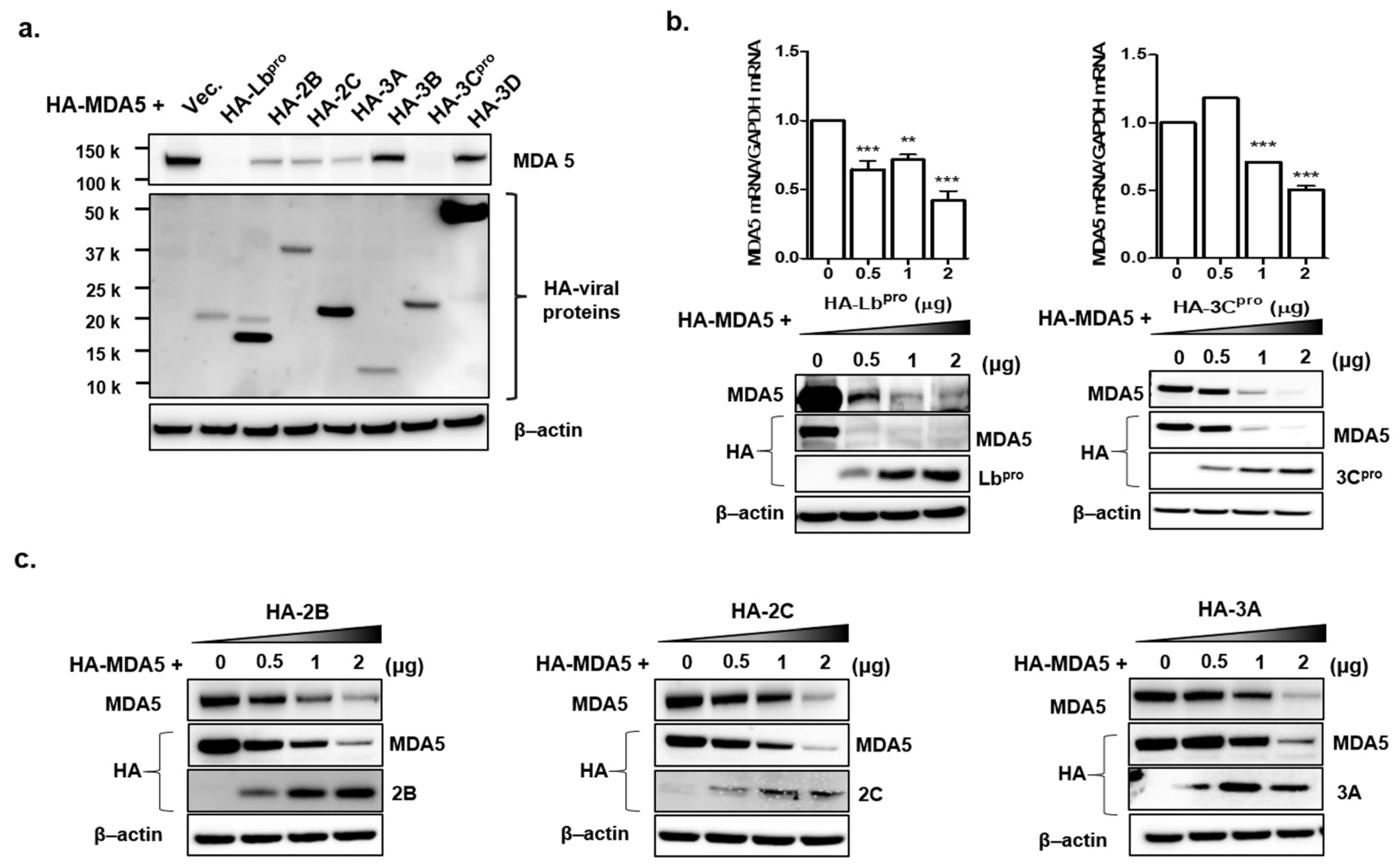Cells 10 00271 g003 Cells 10 00271 g003