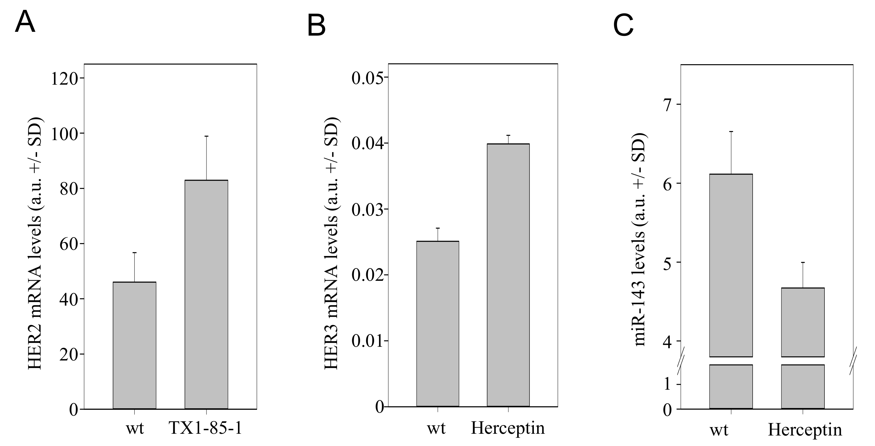 Cells 10 00272 g005 Cells 10 00272 g005
