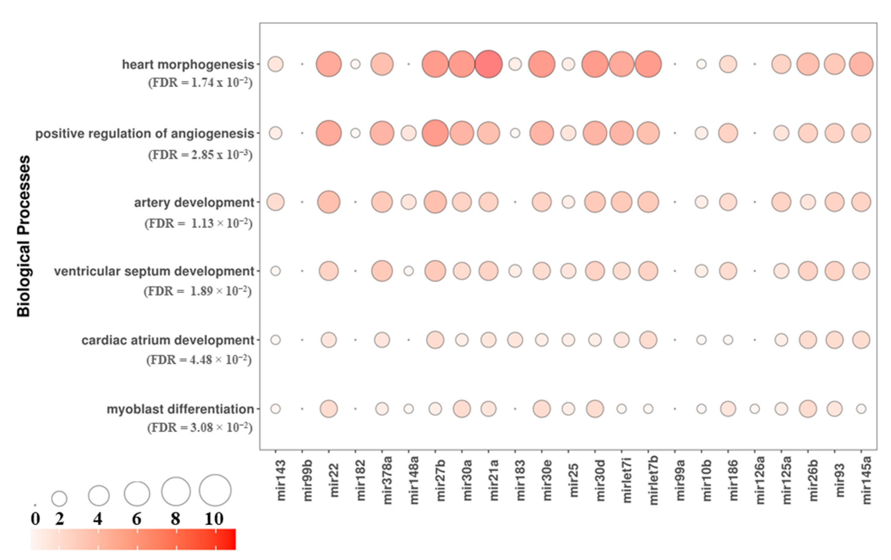 Cells 10 00273 g003 Cells 10 00273 g003