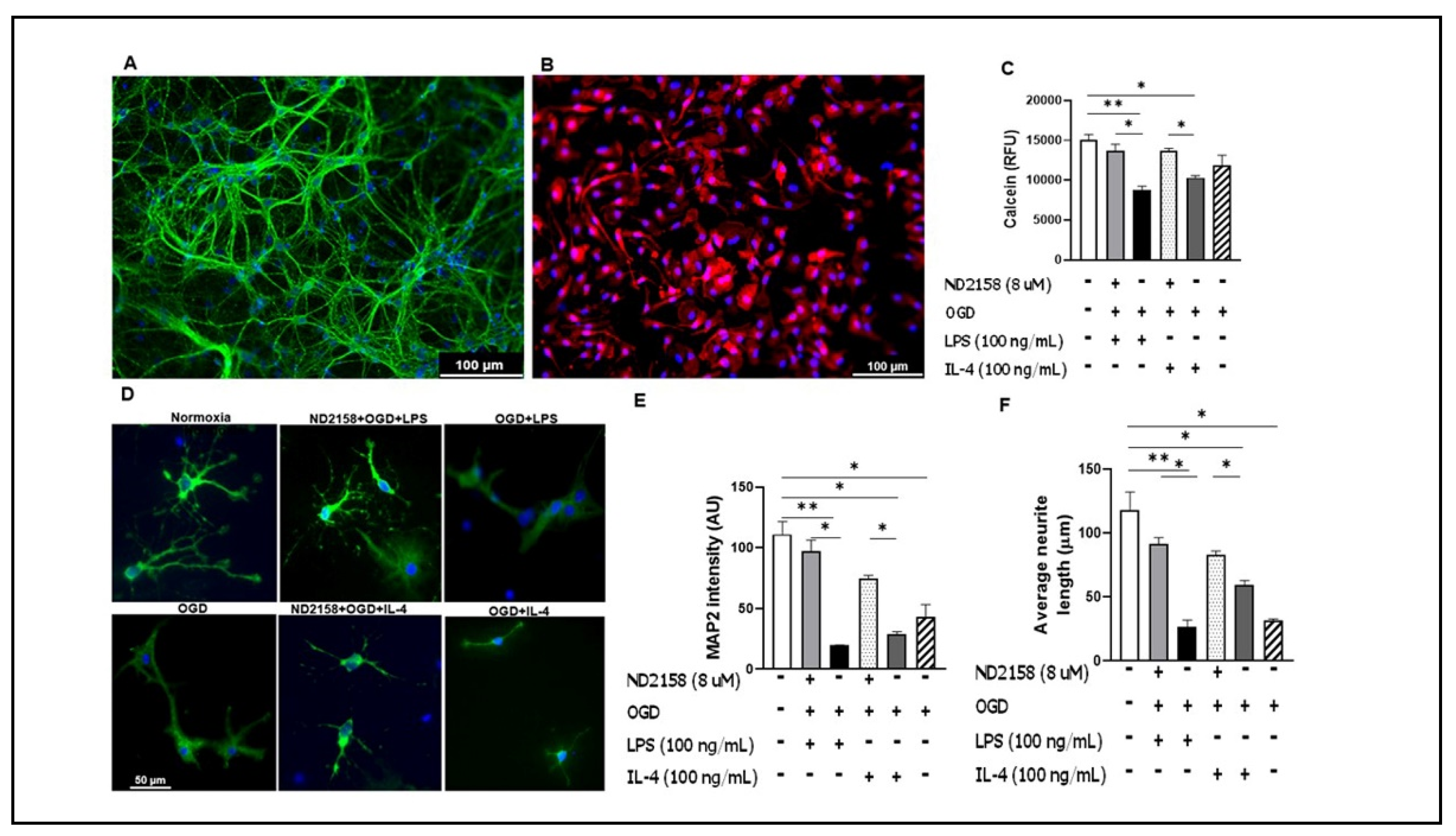 Cells 10 00276 g005