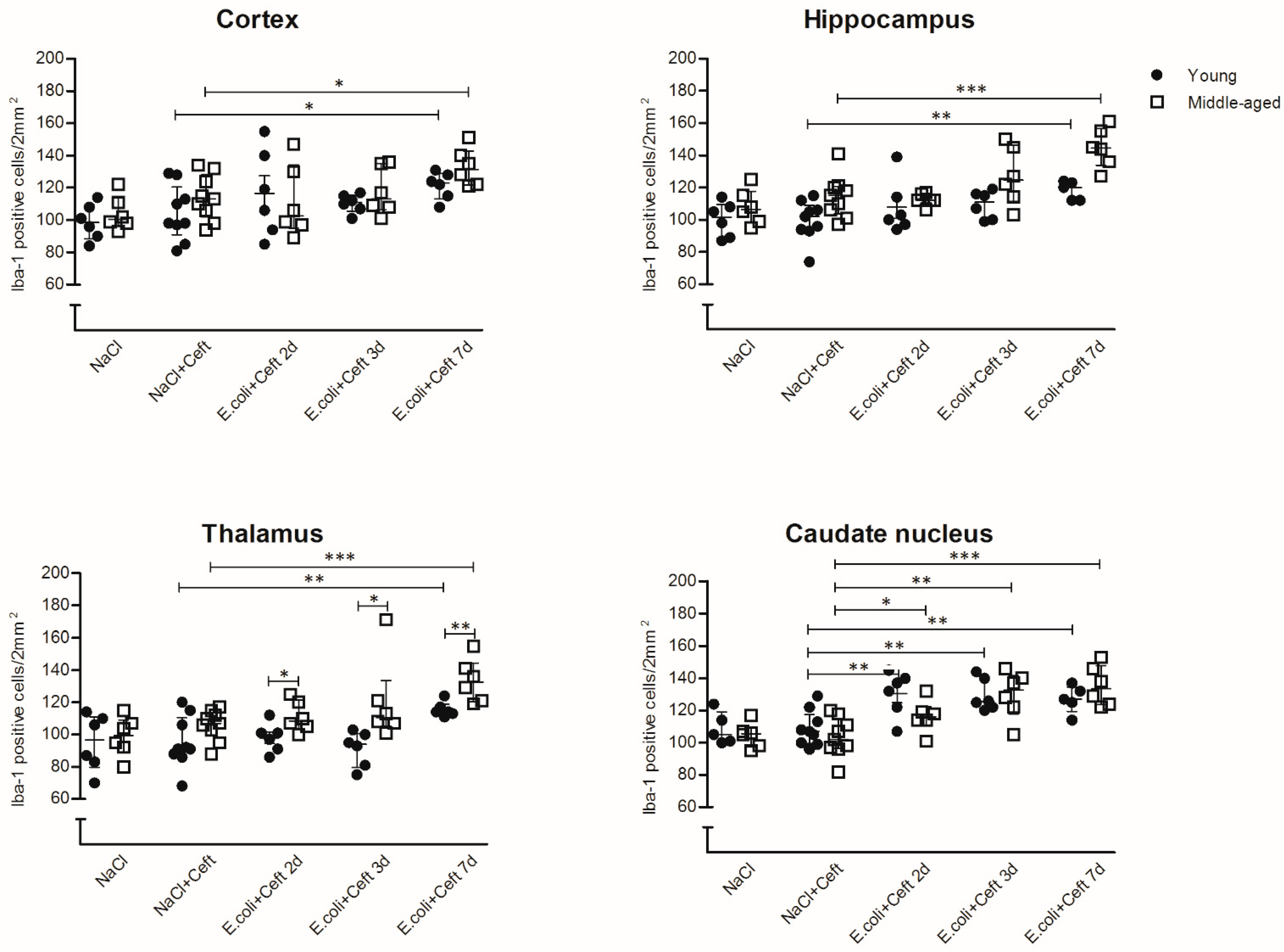 Cells 10 00279 g001 Cells 10 00279 g001