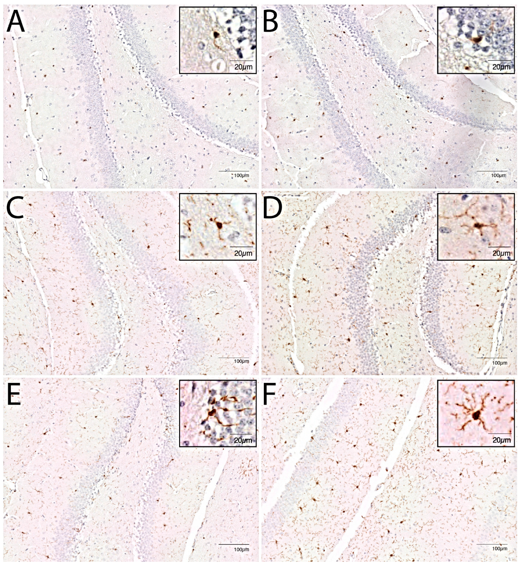 Cells 10 00279 g002 Cells 10 00279 g002