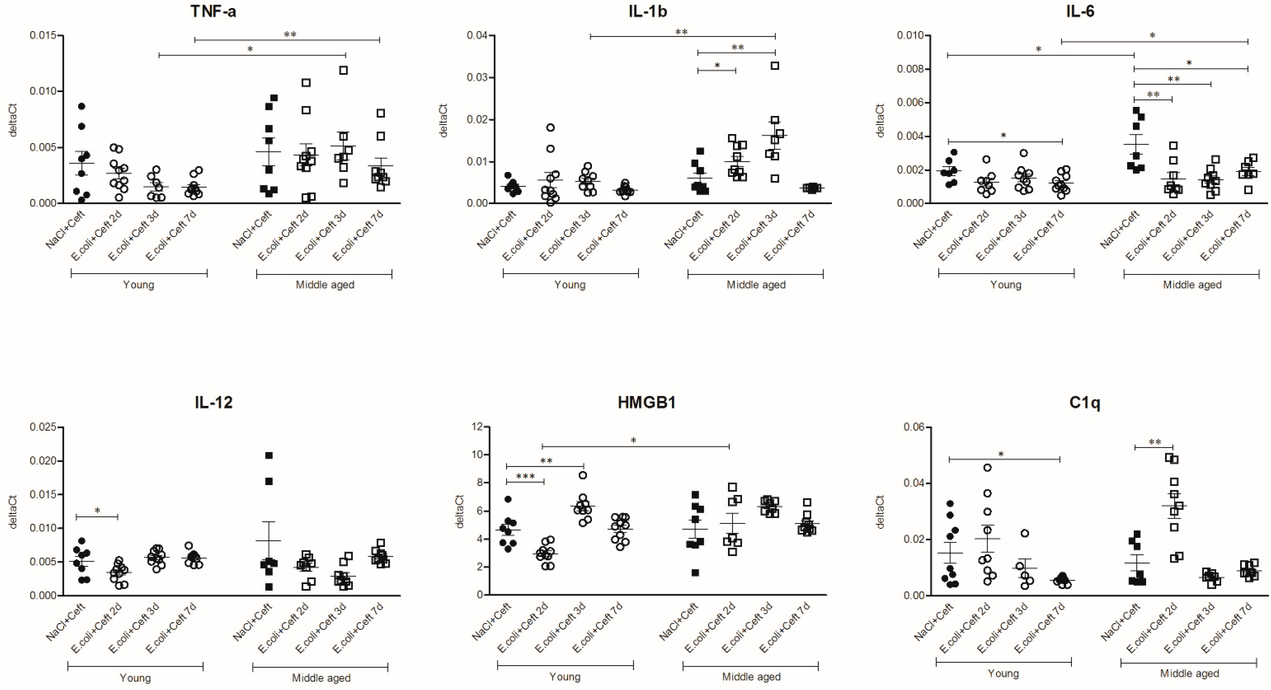 Cells 10 00279 g005 Cells 10 00279 g005