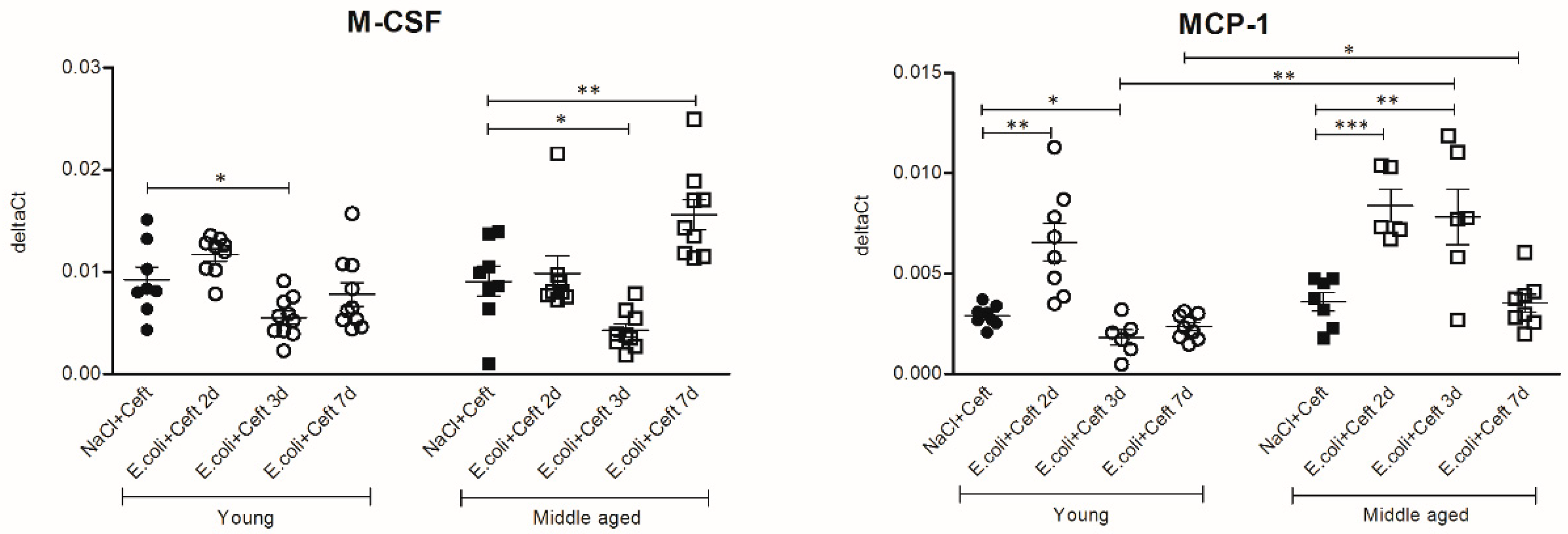 Cells 10 00279 g006 Cells 10 00279 g006