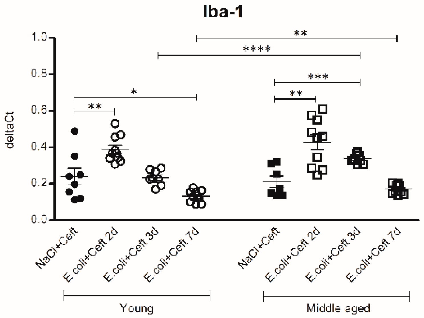Cells 10 00279 g007 Cells 10 00279 g007