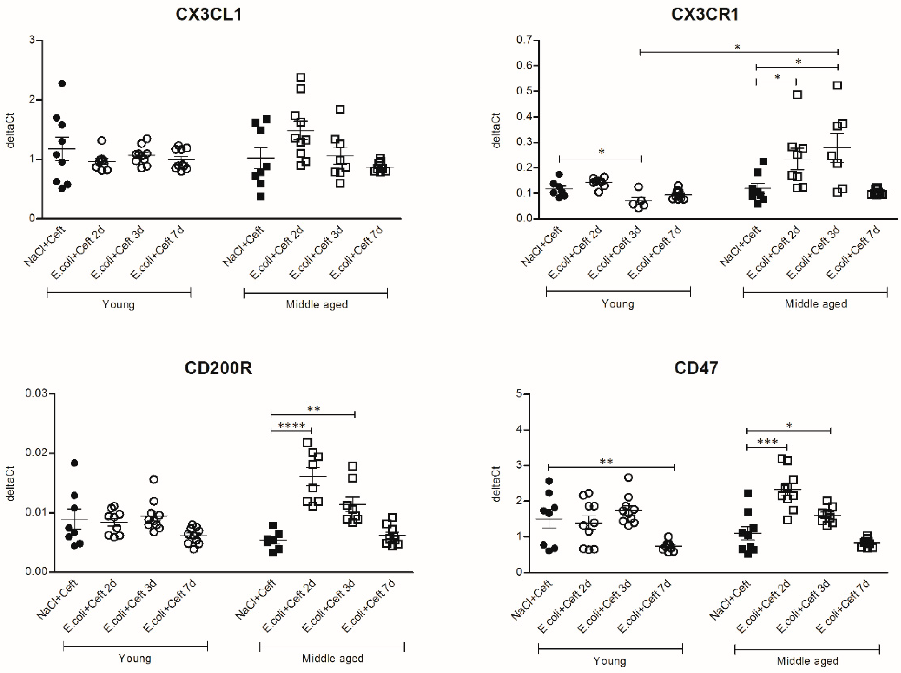 Cells 10 00279 g008 Cells 10 00279 g008